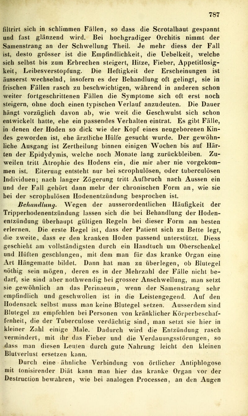 filtrirt sich in schlimmen Fällen, so dass die Scrotalhaut gespannt und fast glänzend wird. Bei hochgradiger Orchitis nimmt der Samenstrang an der Schwellung Theil. Je mehr diess der Fall ist, desto grösser ist die Empfindlichkeit, die üebelkeit, welche sich selbst bis zum Erbrechen steigert, Hitze, Fieber, ilppetitlosig- keit, Leibesverstopfung. Die Heftigkeit der Erscheinungen ist äusserst wechselnd, insofern es der Behandlung oft gelingt, sie in frischen Fällen rasch zu beschwichtigen, während in anderen schon weiter fortgeschrittenen Fällen die Symptome sich oft erst noch steigern, ohne doch einen typischen Verlauf anzudeuten. Die Dauer hängt vorzüglich davon ab, wie weit die Geschwulst sich schon entwickelt hatte, ehe ein passendes Verhalten eintrat. Es gibt Fälle, in denen der Hoden so dick wie der Kopf eines neugeborenen Kin- des geworden ist, ehe ärztliche Hülfe gesucht wurde. Der gewöhn- liche Ausgang ist Zertheilung binnen einigen Wochen bis auf Här- ten der Epidydymis, welche noch Monate lang zurückbleiben. Zu- weilen tritt Atrophie des Hodens ein, die mir aber nie vorgekom- men ist. Eiterung entsteht nur bei scrophulösen, oder tuberculösen Individuen; nach langer Zögerung tritt Aufbruch nach Aussen ein und der Fall gehört dann mehr der chronischen Form an, wie sie bei der scrophulösen Hodenentzündung besprochen ist. Behandlung. Wegen der ausserordentlichen Häufigkeit der Tripperhodenentzündung lassen sich die bei Behandlung der Hoden- entzündung überhaupt gültigen Regeln bei dieser Form am besten erlernen. Die erste Regel ist, dass der Patient sich zu Bette legt, die zweite, dass er den kranken Hoden passend unterstützt. Diess geschieht am vollständigsten durch ein Handtuch um Oberschenkel und Hüften geschlungen, mit dem man für das kranke Organ eine Art Hängematte bildet. Dann hat man zu überlegen, ob Blutegel nöthig sein mögen, deren es in der Mehrzahl der Fälle nicht be- darf, sie sind aber nothwendig bei grosser Anschwellung, man setzt sie gewöhnlich an das Perinaeum, wenn der Samenstrang sehr empfindlich und geschwollen ist in die Leistengegend. Auf den Hodensack selbst muss man keine Blutegel setzen. Ausserdem sind Blutegel zu empfehlen bei Personen von kränklicher Körperbeschaf- fenheit, die der Tuberculose verdächtig sind, man setzt sie hier in kleiner Zahl einige Male. Dadurch wird die Entzündung rasch vermindert, mit ihr das Fieber und die Verdauungsstörungen, so dass man diesen Leuten durch gute Nahrung leicht den kleinen Blutverlust ersetzen kann. Durch eine ähnliche Verbindung von örtlicher Antiphlogose mit tonisirender Diät kann man hier das kranke Organ vor der Destruction bewahren, wie bei analogen Processen, an den Augen