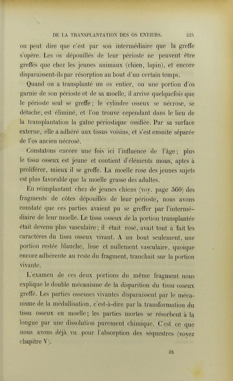 on peut dire que c'est par son intermédiaire que la greffe s'opère. Les os dépouillés de leur périoste ne peuvent être greffés que chez les jeunes animaux (chien, lapin), et encore disparaissent-ils par résorption au bout d'un certain temps. Quand on a transplanté un os entier, ou une portion d'os garnie de son périoste et de sa moelle, il arrive quelquefois que le périoste seul se greffe; le cylindre osseux se nécrose, se détache, est éliminé, et l'on trouve cependant dans le lieu de la transplantation la gaîne périostique ossifiée. Par sa surface externe, elle a adhéré aux tissus voisins, et s'est ensuite séparée de l'os ancien nécrosé. Constatons encore une fois ici l'influence de l'âge; plus le tissu osseux est jeune et contient d'éléments mous, aptes à proliférer, mieux il se greffe. La moelle rose des jeunes sujets est plus favorable que la moelle grasse des adultes. En réimplantant chez de jeunes chiens (voy. page 360) des fragments de côtes dépouillés de leur périoste, nous avons constaté que ces parties avaient pu se greffer par l'intermé- diaire de leur moelle. Le tissu osseux de la portion transplantée était devenu plus vasculaire ; il était rosé, avait tout à fait les caractères du tissu osseux vivant. A un bout seulement, une portion restée blanche, lisse et nullement vasculaire, quoique encore adhérente au reste du fragment, tranchait sur la portion vivante. L'examen de ces deux portions du même fragment nous explique le double mécanisme de la disparition du tissu osseux greffé. Les parties osseuses vivantes disparaissent par le méca- nisme de la médullisation, c'est-à-dire par la transformation du tissu osseux en moelle ; les parties mortes se résorbent à la longue par une dissolution purement chimique. C'est ce que nous avons déjà vu pour l'absorption des séquestres (voyez chapitre V).