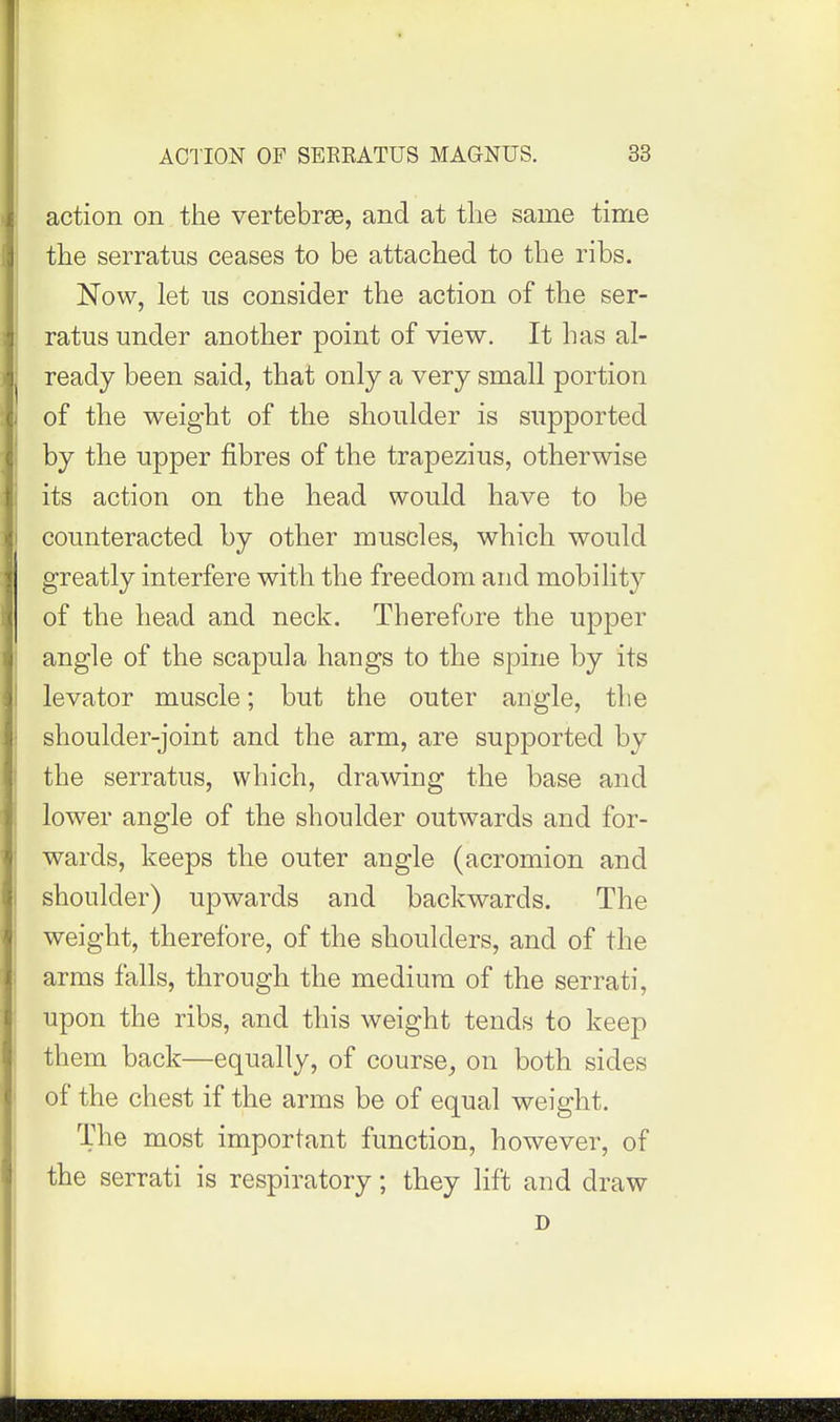 action on the vertebrse, and at the same time the serratus ceases to be attached to the ribs. Now, let us consider the action of the ser- ratus under another point of view. It has al- ready been said, that only a very small portion of the weight of the shoulder is supported by the upper fibres of the trapezius, otherwise its action on the head would have to be counteracted by other muscles, which would greatly interfere with the freedom and mobility of the head and neck. Therefore the upper angle of the scapula hangs to the spine by its levator muscle; but the outer angle, the shoulder-joint and the arm, are supported by the serratus, which, drawing the base and lower angle of the shoulder outwards and for- wards, keeps the outer angle (acromion and shoulder) upwards and backwards. The weight, therefore, of the shoulders, and of the arms falls, through the medium of the serrati, upon the ribs, and this weight tends to keep them back—equally, of course^ on both sides of the chest if the arms be of equal weight. The most important function, however, of the serrati is respiratory; they lift and draw