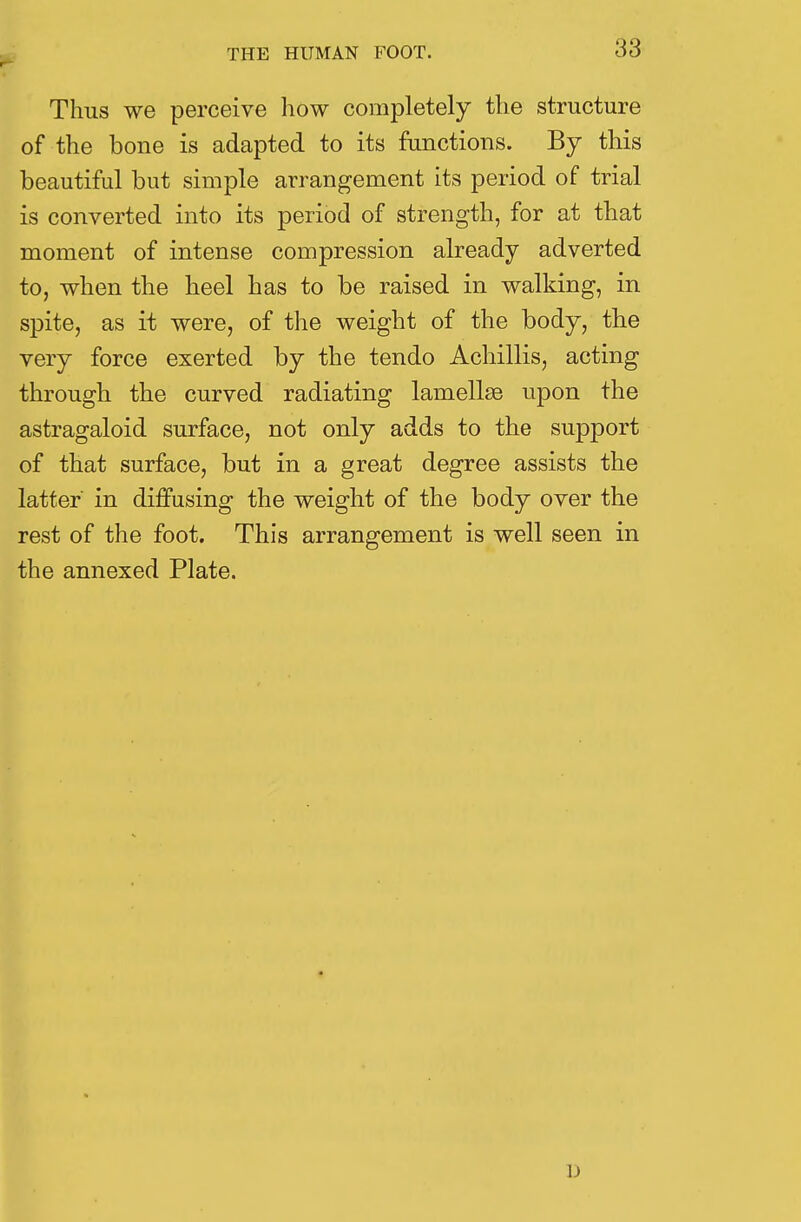 Thus we perceive how completely the structure of the bone is adapted to its functions. By this beautiful but simple arrangement its period of trial is converted into its period of strength, for at that moment of intense compression already adverted to, when the heel has to be raised in walking, in spite, as it were, of the weight of the body, the very force exerted by the tendo Achillis, acting through the curved radiating lamellae upon the astragaloid surface, not only adds to the support of that surface, but in a great degree assists the latter in diffusing the weight of the body over the rest of the foot. This arrangement is well seen in the annexed Plate. D