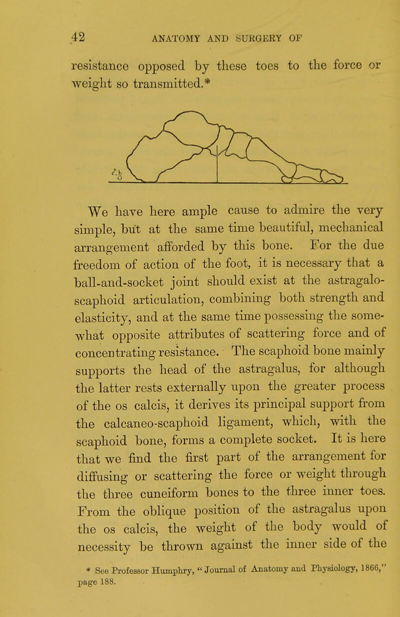 resistance opposed by these toes to the force or weight so transmitted.* We have here ample cause to admire the very simple, but at the same time beautiful, mechanical arrangement afforded by this bone. For the due freedom of action of the foot, it is necessary that a ball-and-socket joint should exist at the astragalo- scaphoid articulation, combining both strength and elasticity, and at the same time possessing the some- what opposite attributes of scattering force and of concentrating resistance. The scaphoid bone mainly supports the head of the astragalus, for although the latter rests externally upon the greater process of the os calcis, it derives its principal support from the calcaneo-scaphoid ligament, which, with the scaphoid bone, forms a complete socket. It is here that we find the first part of the arrangement for diffusing or scattering the force or weight through the three cuneiform bones to the three inner toes. From the oblique position of the astragalus upon the os calcis, the weight of the body would of necessity be thrown against the inner side of the * See Professor Humphry, Journal of Anatomy and Physiology, 1866, page 188.