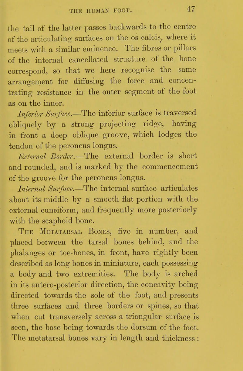 the tail of the latter passes backwards to the centre of the articulating surfaces on the os calcis, where it meets with a similar eminence. The fibres or pillars of the internal cancellated structure of the bone correspond, so that we here recognise the same arrangement for diffusing the force and concen- trating resistance in the outer segment of the foot as on the inner. Inferior Surface.—The inferior surface is traversed obliquely by a strong projecting ridge, having in front a deep oblique groove, which lodges the tendon of the peroneus longus. External Border.—The external border is short and rounded, and is marked by the commencement of the groove for the peroneus longus. Internal Surface.—The internal surface articulates about its middle by a smooth flat portion with the external cuneiform, and frequently more posteriorly with the scaphoid bone. The Metatarsal Bones, five in number, and placed between the tarsal bones behind, and the phalanges or toe-bones, in front, have rightly been described as long bones in miniature, each possessing a body and two extremities. The body is arched in its antero-posterior direction, the concavity being directed towards the sole of the foot, and presents three surfaces and three borders or spines, so that when cut transversely across a triangular surface is seen, the base being towards the dorsum of the foot. The metatarsal bones vary in length and thickness :
