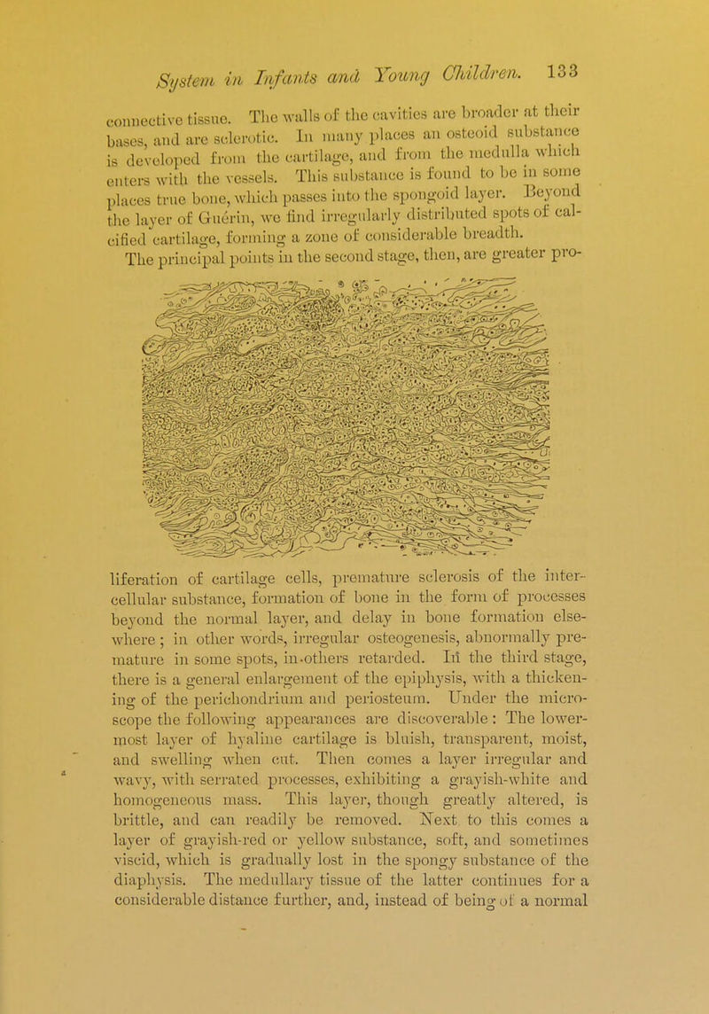 connective tissue. The walls of the cavities are broader at their bases, and are sclerotic. In many places an osteoid substance is developed from the cartilage, and from the medulla which outers with the vessels. This suhstance is found to be m some places true bone, which passes into the spongoid layer. Beyond the layer of Guenn, we End irregularly distributed spots of cal- cified cartilage, forming a zone of considerable breadth. The principal points in the second stage, then, are greater pro- liberation of cartilage cells, premature sclerosis of the inter- cellular substance, formation of bone in the form of processes beyond the normal layer, and delay in bone formation else- where ; in other words, irregular osteogenesis, abnormally pre- mature in some spots, in.others retarded. In the third stage, there is a general enlargement of the epiphysis, with a thicken- ing of the perichondrium and periosteum. Under the micro- scope the following appearances are discoverable : The lower- most layer of hyaline cartilage is bluish, transparent, moist, and swelling when cut. Then comes a layer irregular and wavy, with serrated processes, exhibiting a grayish-white and homogeneous mass. This layer, though greatly altered, is brittle, and can readily be removed. Next to this comes a layer of grayish-red or yellow substance, soft, and sometimes viscid, which is gradually lost in the spongy substance of the diaphysis. The medullary tissue of the latter continues for a considerable distance further, and, instead of being of a normal