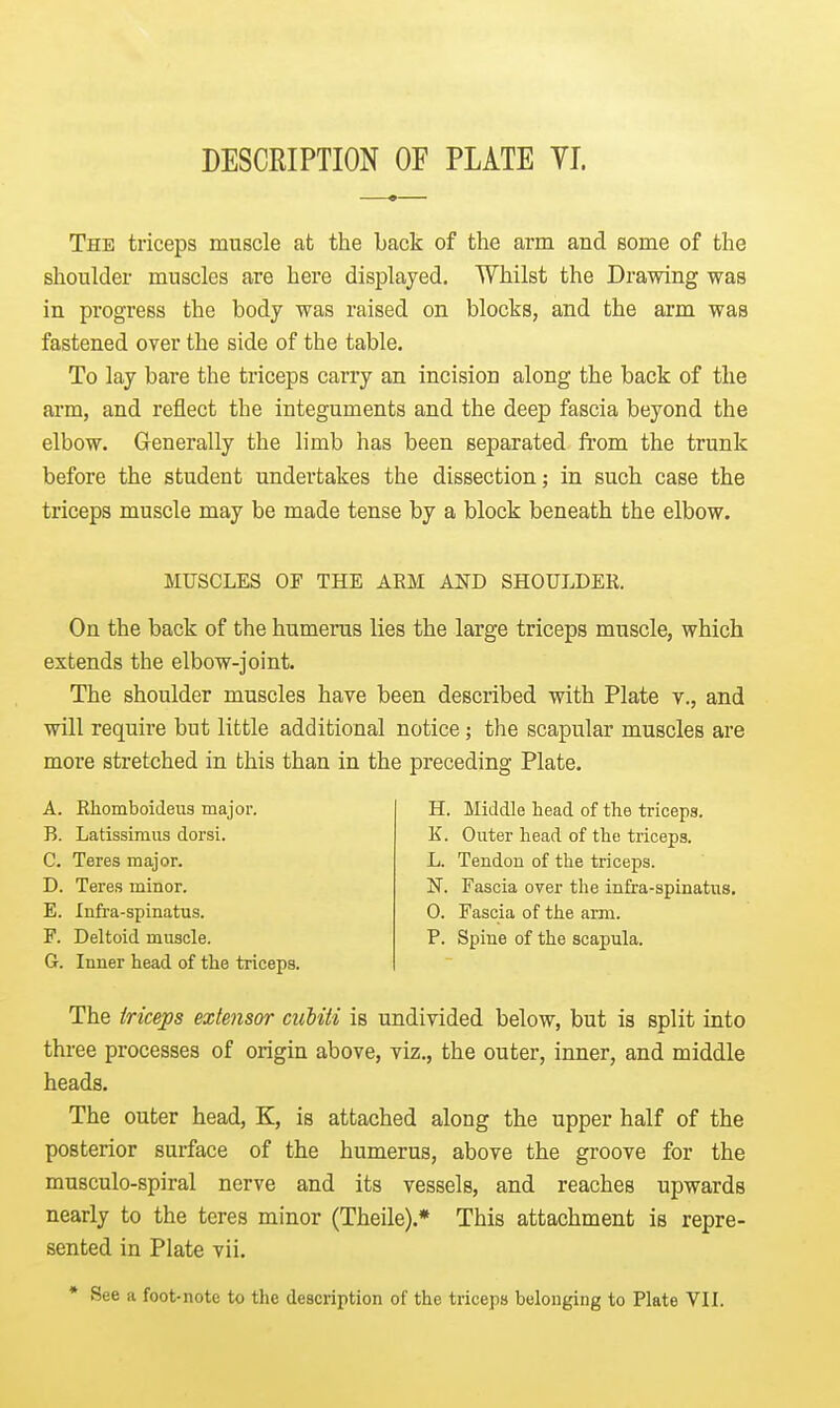 DESCRIPTION OF PLATE YJ. The triceps muscle at the back of the arm and some of the shoulder muscles are here displayed. Whilst the Drawing was in progress the body was raised on blocks, and the arm was fastened over the side of the table. To lay bare the triceps carry an incision along the back of the arm, and reflect the integuments and the deep fascia beyond the elbow. Generally the limb has been separated from the trunk before the student undertakes the dissection; in such case the triceps muscle may be made tense by a block beneath the elbow. MUSCLES OF THE ARM AND SHOULDER. On the back of the humerus lies the large triceps muscle, which extends the elbow-joint. The shoulder muscles have been described with Plate v., and will require but little additional notice; the scapular muscles are more stretched in this than in the preceding Plate. A. Rhomboideus major. B. Latissimus dorsi. C. Teres major. D. Teres minor. E. Infra-spinatus. F. Deltoid muscle. G. Inner head of the triceps. H. Middle head of the triceps. K. Outer head of the triceps. L. Tendon of the triceps. N. Fascia over the infra-spinatus. 0. Fascia of the arm. P. Spine of the scapula. The triceps extensor ciibiti is undivided below, but is split into three processes of origin above, viz., the outer, inner, and middle heads. The outer head, K, is attached along the upper half of the posterior surface of the humerus, above the groove for the musculo-spiral nerve and its vessels, and reaches upwards nearly to the teres minor (Theile).* This attachment is repre- sented in Plate vii. * See a foot-note to the description of the triceps belonging to Plate VIL