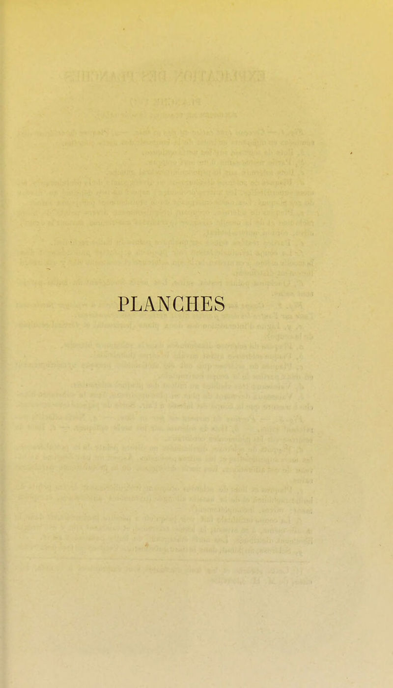 PLANCHES