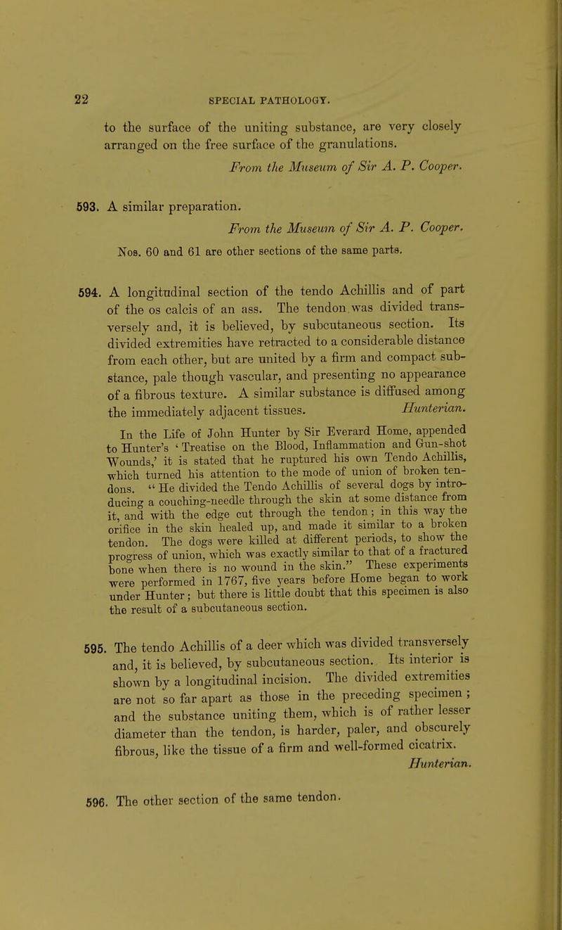 to the surface of the uniting substance, are very closely arranged on the free surface of the granulations. From the Mtiseum of Sir A. P. Cooper. 693. A similar preparation. From the Museum of Sir A. P. Cooper. No3. 60 and 61 are other sections of tlie same parts, 694. A longitudinal section of the tendo Achillis and of part of the OS calcis of an ass. The tendon, was divided trans- versely and, it is behoved, by subcutaneous section. Its divided extremities have retracted to a considerable distance from each other, but are united by a firm and compact sub- stance, pale though vascular, and presenting no appearance of a fibrous texture. A similar substance is diffused among the immediately adjacent tissues. Hunterian. In the Life of John Hunter hy Sir Everard Home, appended to Hunter's ' Treatise on the Blood, Inflammation and Gun-shot Wounds,' it is stated that he ruptured his own Tendo Achilhs, which turned his attention to the mode of union of broken ten- dons. He divided the Tendo Achillis of several dogs by intro- ducing a couching-needle through the skin at some distance from it, and with the edge cut through the tendon; in this way the orifice in the skin healed up, and made it similar to a broken tendon. The dogs were killed at difi'erent periods, to show the proo-ress of union, which was exactly similar to that of a fractured bone when there is no wound in the skin. These experiments were performed in 1767, five years before Home began to work under Hunter; but there is little doubt that this specimen is also the result of a subcutaneous section. 596. The tendo Achilhs of a deer which was divided transversely and, it is believed, by subcutaneous section. Its interior is shown by a longitudinal incision. The divided extremities are not so far apart as those in the preceding specimen ; and the substance uniting them, which is of rather lesser diameter than the tendon, is harder, paler, and obscurely fibrous, hke the tissue of a firm and well-formed cicatrix. Hunterian. 696. The other section of the same tendon.
