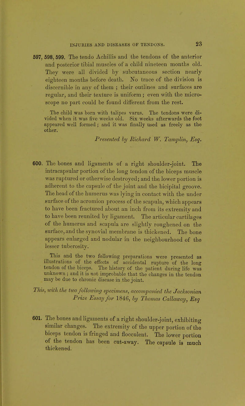 597, 598, 599. The tendo Achillis and the tendons of the anterior and posterior tibial muscles of a child nineteen months old. They were all divided by subcutaneous section nearly eighteen months before death. No trace of the division is discernible in any of them ; their outlines and surfaces are regular, and their texture is uniform; even with the micro- scope no part could be found different from the rest. The child was born with talipes varus. The tendons were di- vided when it was five weeks old. Six weeks afterwards the foot appeared well formed; and it was finally used as freely as the other. Presented hy Richard W. Tamplin, Esq. 600. The bones and ligaments of a right shoulder-joint. The intracapsular portion of the long tendon of the biceps muscle was ruptured or otherwise destroyed; and the lower portion is adherent to the capsule of the joint and the bicipital groove. The head of the humerus was lying in contact with the under surface of the acromion process of the scapula, which appears to have been fractured about an inch from its extremity and to have been reunited by ligament. The articular cartilages of the humerus and scapula are slightly roughened on the surface, and the synovial membrane is thickened. The bone appears enlarged and nodular in the neighbourhood of the lesser tuberosity. This and the two following preparations were presented as illustrations of the efi'ects of accidental rupture of the long tendon of the biceps. The history of the patient during life was unknown; and it is not improbable that the changes in the tendon may be due to chronic disease in the joint. This, with the two following specimens, accompanied the Jacksonian Prize Essay for 1846, hy Thomas Callaway, Esq 601. The bones and ligaments of a right shoulder-joint, exhibiting similar changes. The extremity of the upper portion of the biceps tendon is fringed and flocculent. The lower portion of the tendon has been cut-away. The capsule is much thickened.