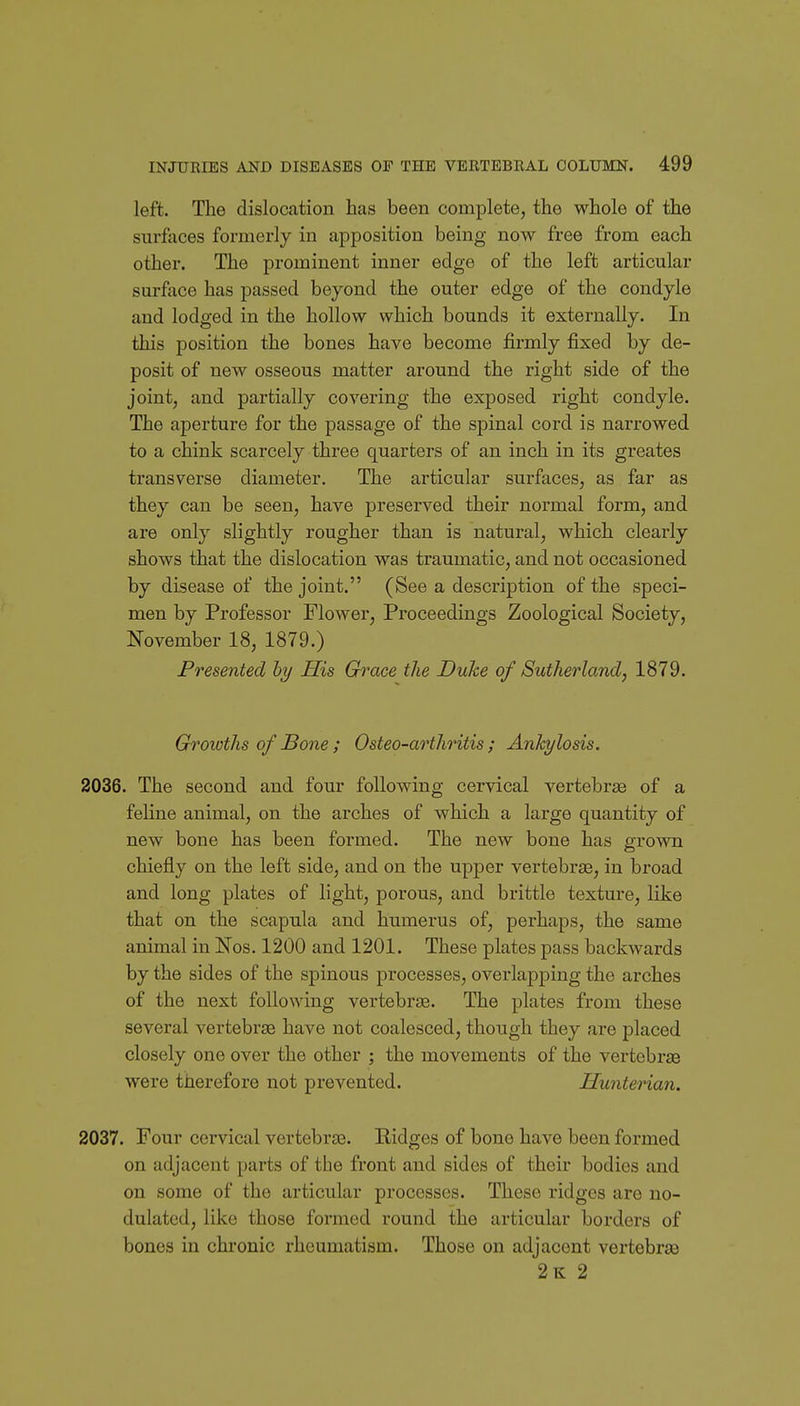 left. The dislocation has been complete, the whole of the surfaces formerly in apposition being now free from each other. The prominent inner edge of the left articular surface has passed beyond the outer edge of the condyle and lodged in the hollow which bounds it externally. In this position the bones have become firmly fixed by de- posit of new osseous matter around the right side of the joint, and partially covering the exposed right condyle. The aperture for the passage of the spinal cord is narrowed to a chink scarcely three quarters of an inch in its greates transverse diameter. The articular surfaces, as far as they can be seen, have preserved their normal form, and are only slightly rougher than is natural, which clearly shows that the dislocation was traumatic, and not occasioned by disease of the joint. (See a description of the speci- men by Professor Flower, Proceedings Zoological Society, November 18, 1879.) Presented hy His Grace the Duke of Sutherland, 1879. Growths of Bone ; Osteo-arthritis ; Ankylosis. 2036. The second and four following cervical vertebrse of a feline animal, on the arches of which a large quantity of new bone has been formed. The new bone has grown chiefly on the left side, and on the upper vertebrse, in broad and long plates of light, porous, and brittle texture, like that on the scapula and humerus of, perhaps, the same animal in Nos. 1200 and 1201. These plates pass backwards by the sides of the spinous processes, overlapping the arches of the next following vertebrae. The plates from these several vertebrse have not coalesced, though they are placed closely one over the other ; the movements of the vertebrae were therefore not prevented. Hunterian. 2037. Four cervical vertebrae. Ridges of bone have been formed on adjacent parts of the front and sides of their bodies and on some of the articular processes. These ridges are no- dulated, like those formed round the articular borders of bones in chronic rheumatism. Those on adjacent vertebrae 2k 2