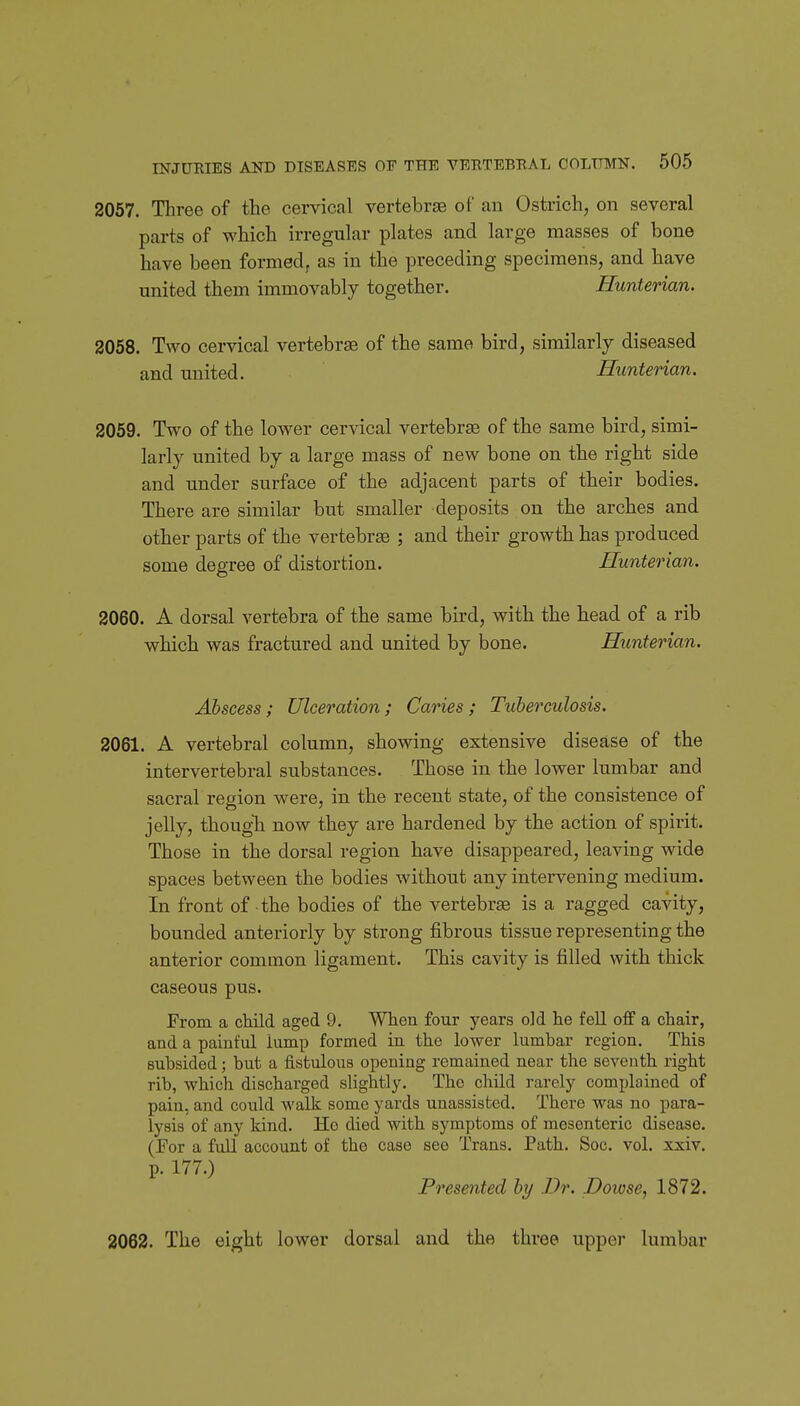 2057. Three of the cervical vertebrse of an Ostrich, on several parts of which irregular plates and large masses of bone have been formed^ as in the preceding specimens, and have united them immovably together. Hunterian. 2058. Two cervical vertebrae of the same bird, similarly diseased and united. Hunterian. 2059. Two of the lower cervical vertebrae of the same bird, simi- larly united by a large mass of new bone on the right side and under surface of the adjacent parts of their bodies. There are similar but smaller deposits on the arches and other parts of the vertebrae ; and their growth has produced some degree of distortion. Hunterian. 2060. A dorsal vertebra of the same bird, with the head of a rib which was fractured and united by bone. Hunterian. Abscess; Ulceration; Caries; Tuberculosis. 2061. A vertebral column, showing extensive disease of the intervertebral substances. Those in the lower lumbar and sacral region were, in the recent state, of the consistence of jelly, thougli now they are hardened by the action of spirit. Those in the dorsal region have disappeared, leaving wide spaces between the bodies without any intervening medium. In front of the bodies of the vertebrae is a ragged cavity, bounded anteriorly by strong fibrous tissue representing the anterior common ligament. This cavity is filled with thick caseous pus. From a child aged 9. When four years old he fell off a chair, and a painful lump formed in the lower lumbar region. This subsided; but a fistulous opening remained near the seventh right rib, which discharged slightly. The child rarely complained of pain, and could walk some yards unassisted. There was no para- lysis of any kind. Ho died with symptoms of mesenteric disease. (For a full account of the case see Trans. Path. Soc. vol. xxiv. p. 177.) Presented by Dr. Doiose, 1872. 2062. The eight lower dorsal and the three upper lumbar