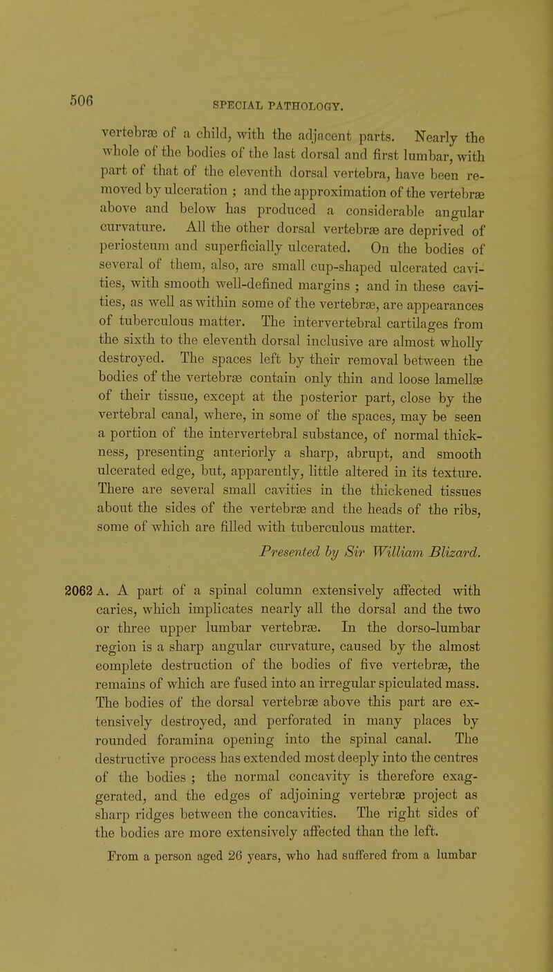 SPECIAL PATHOLOGY. vertebrae of a child; with the adjacent parts. Nearly the whole of the bodies of the last dorsal and first lumbar, with part of that of the eleventh dorsal vertebra, have been re- moved by ulceration ; and the approximation of the vertebrae above and below has produced a considerable angular curvature. All the other dorsal vertebrae are deprived of periosteum and superficially ulcerated. On the bodies of several of them, also, are small cup-shaped ulcerated cavi- ties, with smooth well-defined margins ; and in these cavi- ties, as well as within some of the vertebrae, are appearances of tuberculous matter. The intervertebral cartilages from the sixth to the eleventh dorsal inclusive are almost wholly destroyed. The spaces left by their removal between the bodies of the vertebrae contain only thin and loose lamella of their tissue, except at the posterior part, close by the vertebral canal, where, in some of the spaces, may be seen a portion of the intervertebral substance, of normal thick- ness, presenting anteriorly a sharp, abrupt, and smooth ulcerated edge, but, apparently, little altered in its texture. There are several small cavities in the thickened tissues about the sides of the vertebrae and the heads of the ribs, some of which are filled with tuberculous matter. Presented by Sir William Blizard. 2062 A. A part of a spinal column extensively affected with caries, which implicates nearly all the dorsal and the two or three upper lumbar vertebrae. In the dorso-lumbar region is a sharp angular curvature, caused by the almost complete destruction of the bodies of five vertebrae, the remains of which are fused into an irregular spiculated mass. The bodies of the dorsal vertebrae above this part are ex- tensively destroyed, and perforated in many places by rounded foramina opening into the spinal canal. The destructive process has extended most deeply into the centres of the bodies ; the normal concavity is therefore exag- gerated, and the edges of adjoining vertebrae project as sharp ridges between the concavities. The right sides of the bodies are more extensively affected than the left. From a person aged 26 years, who had suffered from a lumbar