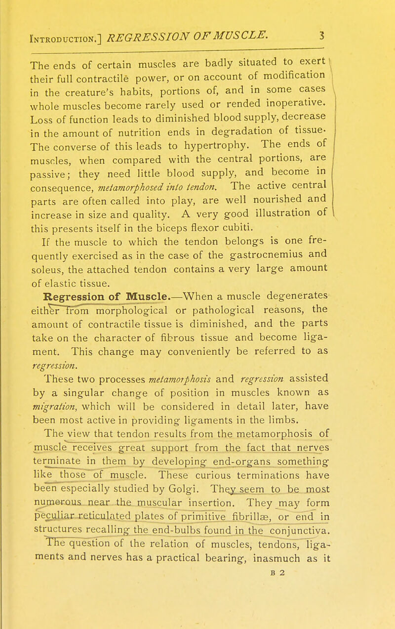 The ends of certain muscles are badly situated to exert | their full contractile power, or on account of modification in the creature's habits, portions of, and in some cases whole muscles become rarely used or rended inoperative. Loss of function leads to diminished blood supply, decrease in the amount of nutrition ends in degradation of tissue- The converse of this leads to hypertrophy. The ends of muscles, when compared with the central portions, are passive; they need little blood supply, and become in consequence, metamorphosed into tendon. The active central parts are often called into play, are well nourished and increase in size and quality. A very good illustration of this presents itself in the biceps flexor cubiti. If the muscle to which the tendon belongs is one fre- quently exercised as in the case of the gastrocnemius and soleus, the attached tendon contains a very large amount of elastic tissue. Regression of Muscle.—When a muscle degenerates eitheT from morphological or pathological reasons, the amount of contractile tissue is diminished, and the parts take on the character of fibrous tissue and become liga- ment. This change may conveniently be referred to as regression. These two processes metamorphosis and regression assisted by a singular change of position in muscles known as migration, which will be considered in detail later, have been most active in providing ligaments in the limbs. The view that tendon results from the metamorphosis of muscle receives great support from the fact that nerves terminate in them by developing end-organs something like those of muscle. These curious terminations have been especially studied by Golgi. They, seem to be most numerous near the muscular insertion. They may form peculiar reticulated plates of primitive fibrillse, or end in structures recalling the end-bulbs found in the conjunctiva. The question of the relation of muscles, tendons, liga- ments and nerves has a practical bearing, inasmuch as it B 2