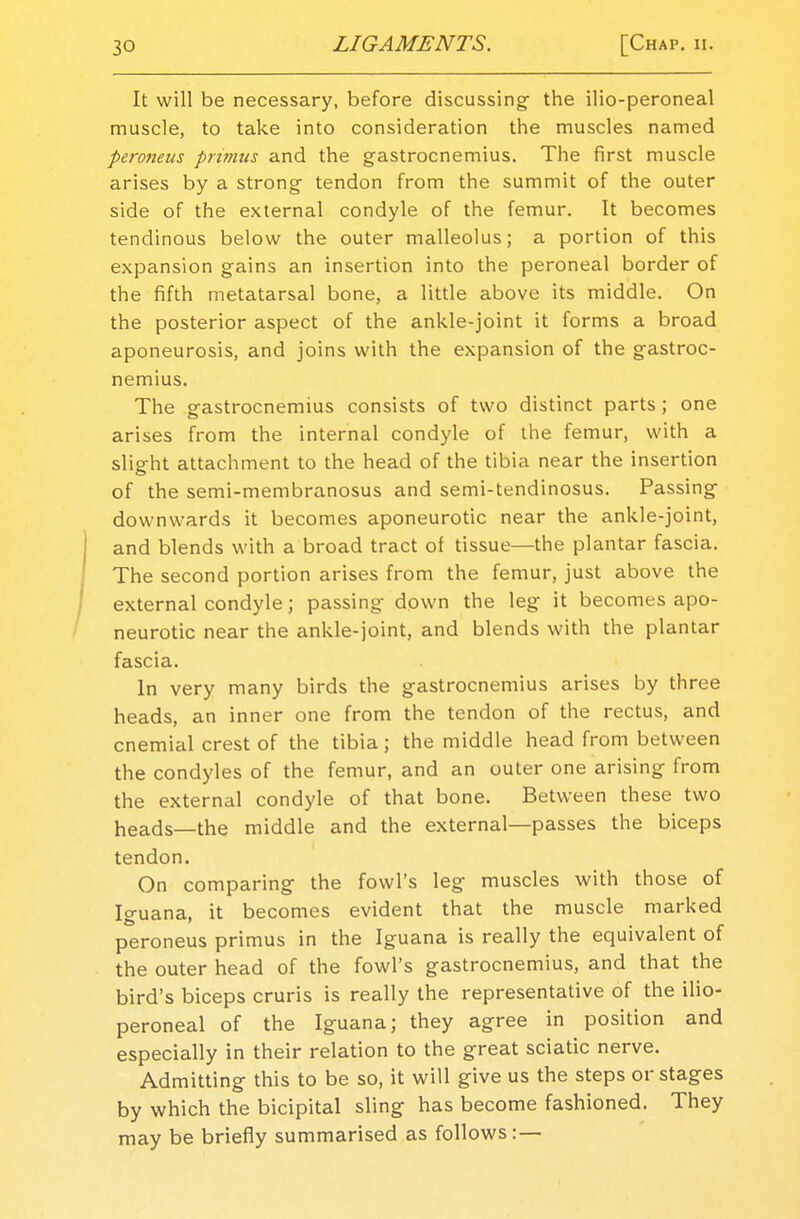 It will be necessary, before discussing- the ilio-peroneal muscle, to take into consideration the muscles named peroneus primus and the gastrocnemius. The first muscle arises by a strong tendon from the summit of the outer side of the external condyle of the femur. It becomes tendinous below the outer malleolus; a portion of this expansion gains an insertion into the peroneal border of the fifth metatarsal bone, a little above its middle. On the posterior aspect of the ankle-joint it forms a broad aponeurosis, and joins with the expansion of the gastroc- nemius. The gastrocnemius consists of two distinct parts; one arises from the internal condyle of the femur, with a slight attachment to the head of the tibia near the insertion of the semi-membranosus and semi-tendinosus. Passing downwards it becomes aponeurotic near the ankle-joint, and blends with a broad tract of tissue—the plantar fascia. The second portion arises from the femur, just above the external condyle; passing down the leg it becomes apo- neurotic near the ankle-joint, and blends with the plantar fascia. In very many birds the gastrocnemius arises by three heads, an inner one from the tendon of the rectus, and cnemial crest of the tibia; the middle head from between the condyles of the femur, and an outer one arising from the external condyle of that bone. Between these two heads—the middle and the external—passes the biceps tendon. On comparing the fowl's leg muscles with those of Iguana, it becomes evident that the muscle marked peroneus primus in the Iguana is really the equivalent of the outer head of the fowl's gastrocnemius, and that the bird's biceps cruris is really the representative of the ilio- peroneal of the Iguana; they agree in position and especially in their relation to the great sciatic nerve. Admitting this to be so, it will give us the steps or stages by which the bicipital sling has become fashioned. They may be briefly summarised as follows:—