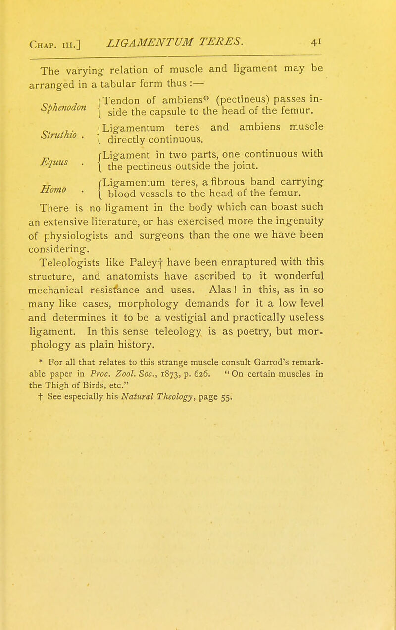 The varying- relation of muscle and ligament may be arranged in a tabular form thus :— Tendon of ambiens0 (pectineus) passes in- Sphewdon ( side the capsule t0 the head of the femur. iLigamentum teres and ambiens muscle Struthio . | directly continuous. „ (Ligament in two parts, one continuous with Equus . | the pectineus outside the joint. „ fLigamentum teres, a fibrous band carrying Homo . | blood vessels to the head of the femur. There is no ligament in the body which can boast such an extensive literature, or has exercised more the ingenuity of physiologists and surgeons than the one we have been considering. Teleologists like Paleyf have been enraptured with this structure, and anatomists have ascribed to it wonderful mechanical resistance and uses. Alas! in this, as in so many like cases, morphology demands for it a low level and determines it to be a vestigial and practically useless ligament. In this sense teleology is as poetry, but mor- phology as plain history. * For all that relates to this strange muscle consult Garrod's remark- able paper in Proc. Zool.Soc, 1873^.626. On certain muscles in the Thigh of Birds, etc. t See especially his Natural Theology, page 55.
