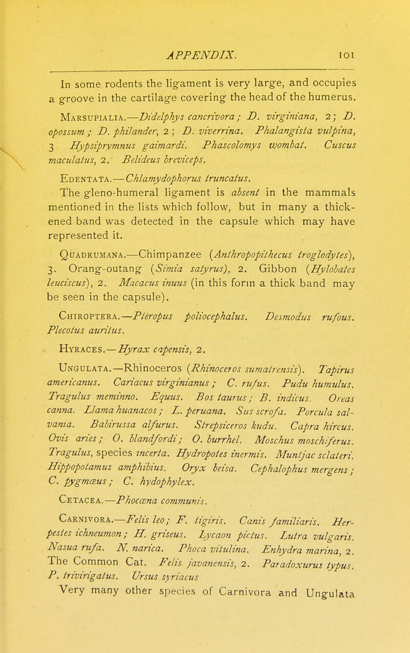 In some rodents the ligament is very large, and occupies a groove in the cartilage covering the head of the humerus. Marsupialia.—Didelphys cancrivora; D. virginiana, 2; D. opossum ; D. philander, 2 ; D. viverrina. Phalangista vulpina, 3 Hypsiprymnus gaimardi. Phascolomys wombat. Cuscus maculatus, 2. Belideus Ireviceps. Edentata. — Chlamydophorus truncatus. The gleno-humeral ligament is absent in the mammals mentioned in the lists which follow, but in many a thick- ened band was detected in the capsule which may have represented it. Quadrumana.—Chimpanzee (Anthropopithecus troglodytes), 3. Orang-outang (Si/ma satyrus), 2. Gibbon {Hylobaies leuciscus), 2. Macacus inuus (in this form a thick band may be seen in the capsule). Chiroptera.—Pteropus poliocephalus. Desmodus rufous. Plecotus auritus. Hyraces.—Hyrax capensis, 2. Ungulata.—Rhinoceros {Rhinoceros sumatrensis). Tapirus americanus. Cariacus virginianus; C. ru/us. Pudu humulus. Tragulus meminno. Equus. Bos taurus; B. indicus. Oreas canna. Llama huanacos; L. peruana. Sus scrofa. Porcula sal- vania. Babirussa alfurus. Strepsiceros kudu. Capra hircus. Ovis aries; O. bland/ordi; 0. burrhel. Moschus moschiferus. Tragulus, species mcerta. Hydropotes inermis. Muntjac sclateri. Hippopotamus amphibius. Oryx leisa. Cephalophus mergens ; C. pygmcEUS; C. hydophylex. Cetacea.—Phoccena communis. Carnivora.—Felis leo; F. tigiris. Cam's familiaris. Her- pestes ichneumon; H. griseus. Lycaon pictus. Lutra vulgaris. Nasua rufa. N. narica. Phoca vitulina. Enhydra marina, 2. The Common Cat. Felis javanensis, 2. Paradoxurus typus. P. trivirigatus. Ursus syriacus Very many other species of Carnivora and Ungulata