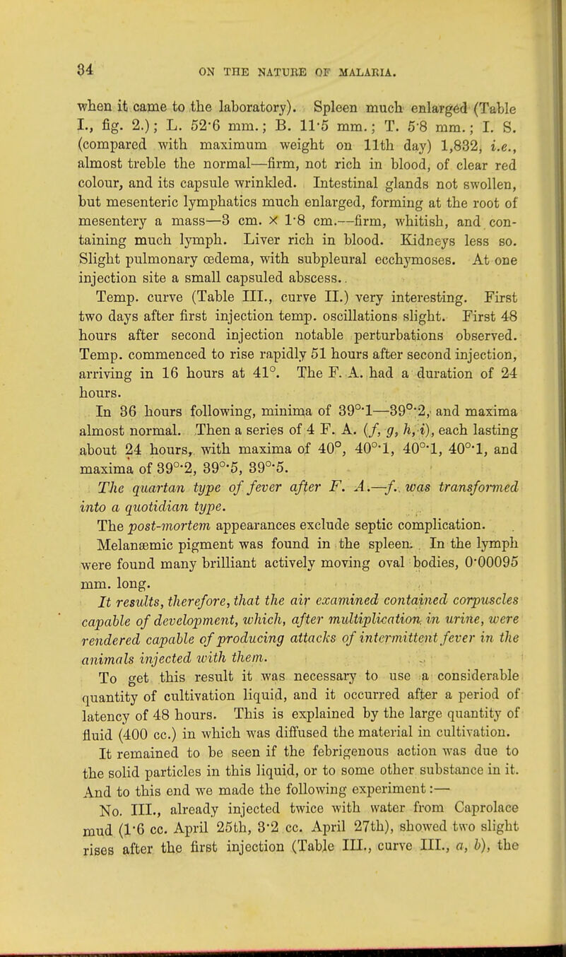 when it came to the laboratory). Spleen much enlarged (Table L, fig. 2.); L. 52-6 mm.; B. 11*6 mm.; T. 5*8 mm.; I. S. (compared with maximum weight on 11th day) 1,832, i.e., almost treble the normal—firm, not rich in blood, of clear red colour, and its capsule wrinkled. Intestinal glands not swollen, but mesenteric lymphatics much enlarged, forming at the root of mesentery a mass—3 cm. x 1*8 cm.—firm, whitish, and con- taining much lymph. Liver rich in blood. Kidneys less so. Slight pulmonary oadema, with subpleural ecchymoses. At one injection site a small capsuled abscess.. Temp, curve (Table III., curve II.) very interesting. First two days after first injection temp, oscillations slight. First 48 hours after second injection notable perturbations observed. Temp, commenced to rise rapidly 51 hours after second injection, arriving in 16 hours at 41°. The F. A. had a duration of 24 hours. In 36 hours following, minima of 39°1—39°*2,- and maxima almost normal. Then a series of 4 F. A. (/, g, h,i), each lasting about 24 hours, with maxima of 40°, 40°-l, 40°% 40°'l, and maxima of 39°'2, 39°'5, 39°'5. The quartan type of fever after F. A.—/.■. was transformed into a quotidian type. The post-mortem appearances exclude septic complication. Melansemic pigment was found in the spleen. In the lymph were found many brilliant actively moving oval bodies, 0*00095 mm. long. It residts, therefore, that the air examined contained corpuscles capable of development, which, after multiplication, in urine, were rendered capable of producing attacks of intermittent fever in the animals injected with them. To get this result it was necessary to use a considerable quantity of cultivation liquid, and it occurred after a period of latency of 48 hours. This is explained by the large quantity of fluid (400 cc.) in which was diffused the material in cultivation. It remained to be seen if the febrigenous action was due to the solid particles in this liquid, or to some other substance in it. And to this end we made the following experiment:— No. HI., already injected twice with water from Caprolace mud (1*6 cc. April 25th, 3*2 cc. April 27th), showed two slight rises after the first injection (Table III., curve III., a, b), the