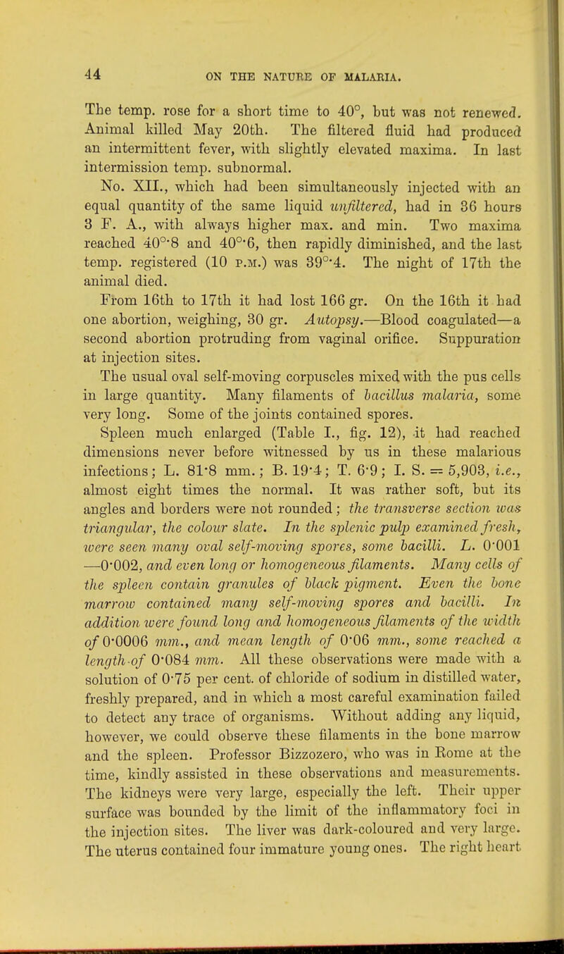 The temp, rose for a short time to 40°, hut was not renewed. Animal killed May 20th. The filtered fluid had produced an intermittent fever, with slightly elevated maxima. In last intermission temp, subnormal. No. XII., which had been simultaneously injected with an equal quantity of the same liquid unfiltered, had in 36 hours 3 F. A., with always higher max. and min. Two maxima reached 40°*8 and 40o,6, then rapidly diminished, and the last temp, registered (10 p.m.) was 39°'4. The night of 17th the animal died. From 16th to 17th it had lost 166 gr. On the 16th it had one abortion, weighing, 30 gr. Autopsy.—Blood coagulated—a second abortion protruding from vaginal orifice. Suppuration at injection sites. The usual oval self-moving corpuscles mixed with the pus cells in large quantity. Many filaments of bacillus malaria, some very long. Some of the joints contained spores. Spleen much enlarged (Table L, fig. 12), it had reached dimensions never before witnessed by us in these malarious infections; L. 81*8 mm.; B. 19*4; T. 6'9; I. S. = 5,903, i.e., almost eight times the normal. It was rather soft, but its angles and borders were not rounded; the transverse section was triangular, the colour slate. In the splenic pulp examined fresh, were seen many oval self-moving spores, some bacilli. L. 0*001 —0002, and even long or homogeneous filaments. Many cells of the spleen contain granules of black pigment. Even the bone marrow contained many self-moving spores and bacilli. In addition were found long and homogeneous filaments of the width of 0*0006 mm., and mean length of 0*06 mm., some reached a length of 0*084 mm. All these observations were made with a solution of 0'75 per cent, of chloride of sodium in distilled water, freshly prepared, and in which a most careful examination failed to detect any trace of organisms. Without adding any liquid, however, we could observe these filaments in the bone marrow and the spleen. Professor Bizzozero, who was in Eome at the time, kindly assisted in these observations and measurements. The kidneys were very large, especially the left. Their upper surface was bounded by the limit of the inflammatory foci in the injection sites. The liver was dark-coloured and very large. The uterus contained four immature young ones. The right heart