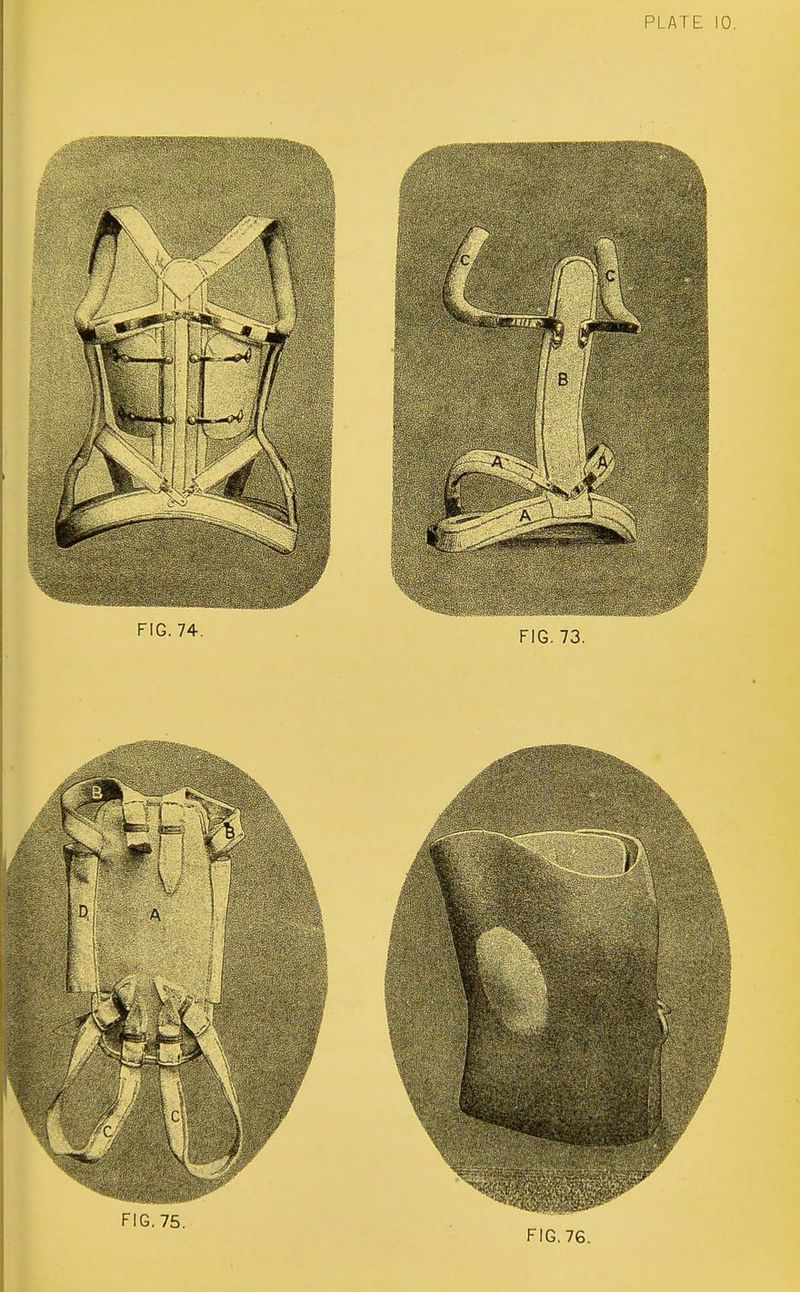 No text description is available for this image