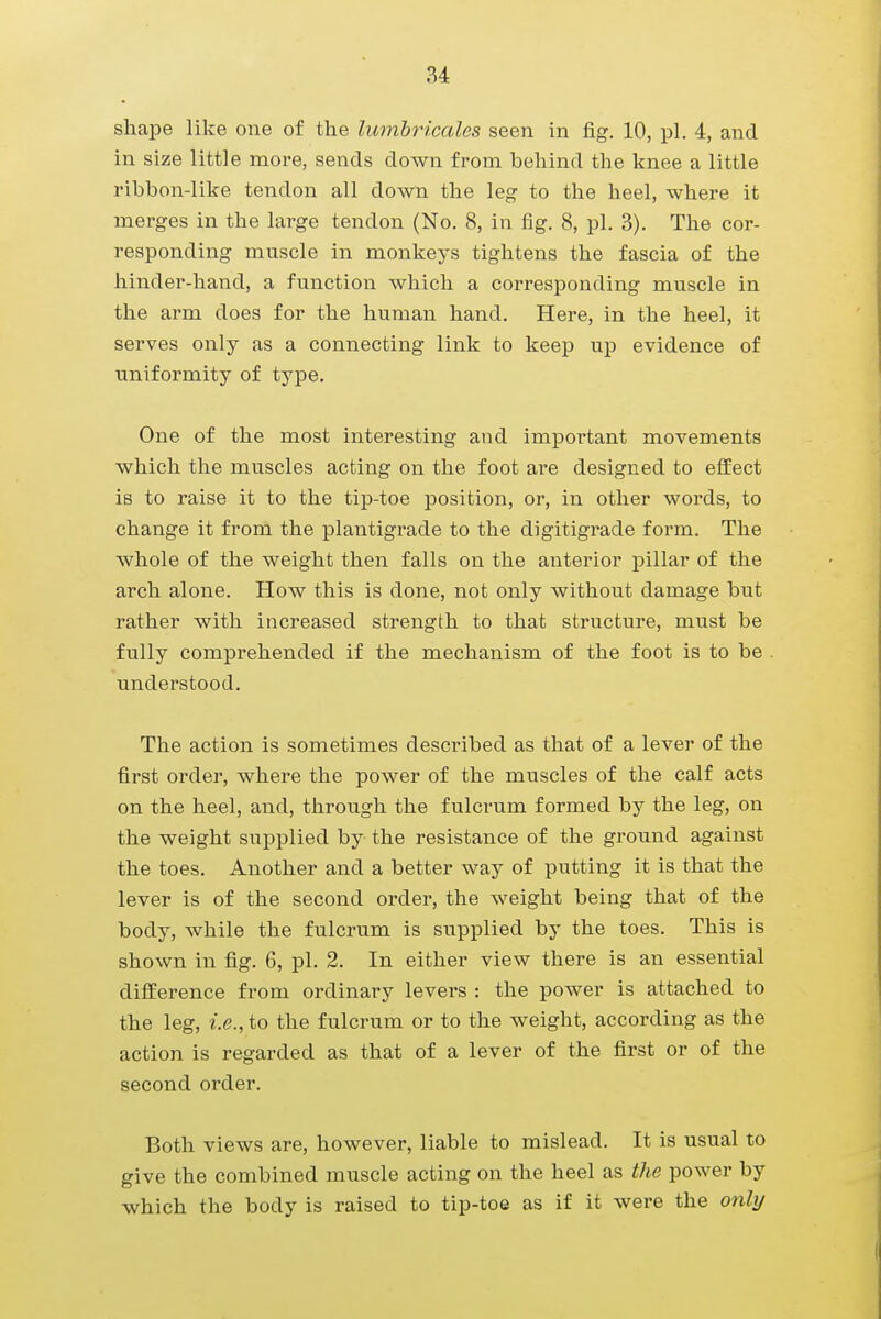 shape like one of the lumbricales seen in fig. 10, pi. 4, and in size little more, sends down from behind the knee a little ribbon-like tendon all down the leg to the heel, where it merges in the large tendon (No. 8, in fig. 8, pi. 3). The cor- responding muscle in monkeys tightens the fascia of the hinder-hand, a function which a corresponding muscle in the arm does for the human hand. Here, in the heel, it serves only as a connecting link to keep up evidence of uniformity of type. One of the most interesting and important movements which the muscles acting on the foot are designed to effect is to raise it to the tip-toe position, or, in other words, to change it from the plantigrade to the digitigrade form. The whole of the weight then falls on the anterior pillar of the arch alone. How this is done, not only without damage but rather with increased strength to that structure, must be fully comprehended if the mechanism of the foot is to be understood. The action is sometimes described as that of a lever of the first order, where the power of the muscles of the calf acts on the heel, and, through the fulcrum formed by the leg, on the weight supplied by the resistance of the ground against the toes. Another and a better way of putting it is that the lever is of the second order, the weight being that of the body, while the fulcrum is supplied by the toes. This is shown in fig. 6, pi. 2. In either view there is an essential difference from ordinary levers : the power is attached to the leg, i.e., to the fulcrum or to the weight, according as the action is regarded as that of a lever of the first or of the second order. Both views are, however, liable to mislead. It is usual to give the combined muscle acting on the heel as the power by which the body is raised to tip-toe as if it were the only !
