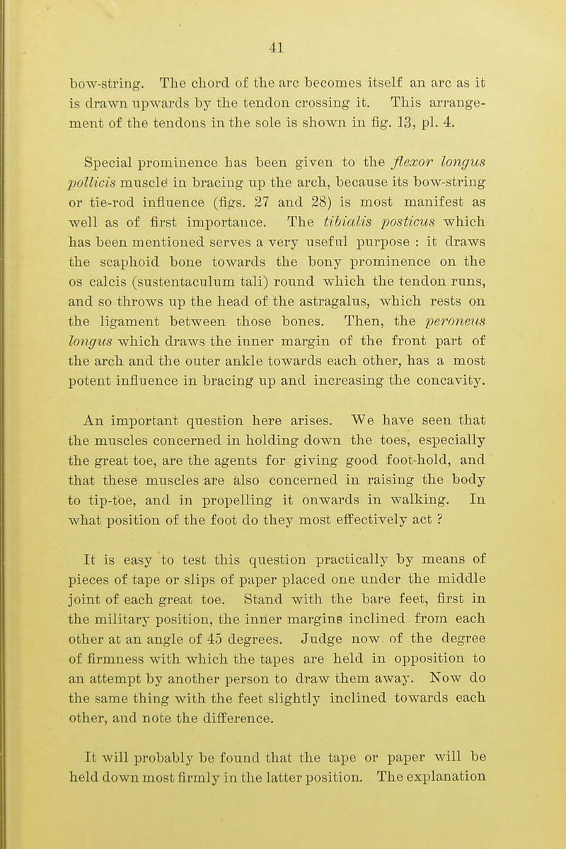 bow-string. The chord of the arc becomes itself an arc as it is drawn upwards by the tendon crossing it. This arrange- ment of the tendons in the sole is shown in fig. 13, pi. 4. Special prominence has been given to the flexor longus Xjollicis muscle' in bracing up the arch, because its bow-string or tie-rod influence (figs. 27 and 28) is most manifest as well as of first importance. The tibialis posticus which has been mentioned serves a very useful purpose : it draws the scaphoid bone towards the bony prominence on the os calcis (sustentaculum tali) round which the tendon runs, and so throws up the head of the astragalus, which rests on the ligament between those bones. Then, the peroneus longus which draws the inner margin of the front part of the arch and the outer ankle towards each other, has a most potent influence in bracing up and increasing the concavity. An important question here arises. We have seen that the muscles concerned in holding down the toes, especially the great toe, are the agents for giving good foot-hold, and that these muscles are also concerned in raising the body to tip-toe, and in propelling it onwards in walking. In what position of the foot do they most effectively act ? It is easy to test this question practically by means of pieces of tape or slips of paper placed one under the middle joint of each great toe. Stand with the bare feet, first in the military position, the inner margins inclined from each other at an angle of 45 degrees. Judge now of the degree of firmness with which the tapes are held in opposition to an attempt by another person to draw them away. Now do the same thing with the feet slightly inclined towards each other, and note the difference. It will probably be found that the tape or paper will be held down most firmly in the latter position. The explanation