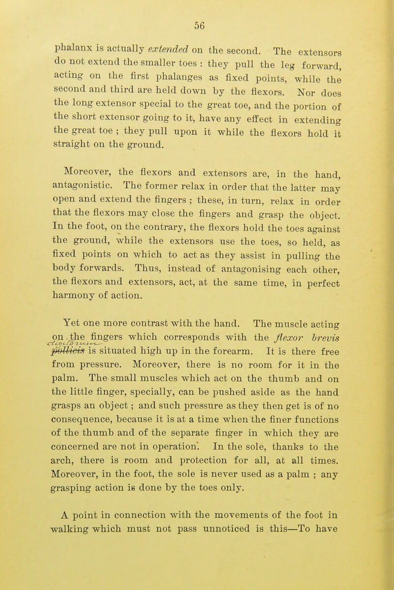 phalanx is actually extended on the second. The extensors do not extend the smaller toes : they pull the leg forward, acting on the first phalanges as fixed points, while the second and third are held down by the flexors. Nor does the long extensor special to the great toe, and the portion of the short extensor going to it, have any effect in extending the great toe ; they pull upon it while the flexors hold it straight on the ground. Moreover, the flexors and extensors are, in the hand, antagonistic. The former relax in order that the latter may open and extend the fingers ; these, in turn, relax in order that the flexors may close the fingers and grasp the object. In the foot, on the contrary, the flexors hold the toes against the ground, while the extensors use the toes, so held, as fixed points on which to act as they assist in pulling the body forwards. Thus, instead of antagonising each other, the flexors and extensors, act, at the same time, in perfect harmony of action. Yet one more contrast with the hand. The muscle acting on .the fingers which corresponds with the flexor brevis pollicis is situated high up in the forearm. It is there free from pressure. Moreover, there is no room for it in the palm. The small muscles which act on the thumb and on the little finger, specially, can be pushed aside as the hand grasps an object; and such pressure as they then get is of no consequence, because it is at a time when the finer functions of the thumb and of the separate finger in which they are concerned are not in operation. In the sole, thanks to the arch, there is room and protection for all, at all times. Moreover, in the foot, the sole is never used as a palm ; any grasping action is done by the toes only. A point in connection with the movements of the foot in walking which must not pass unnoticed is this—To have