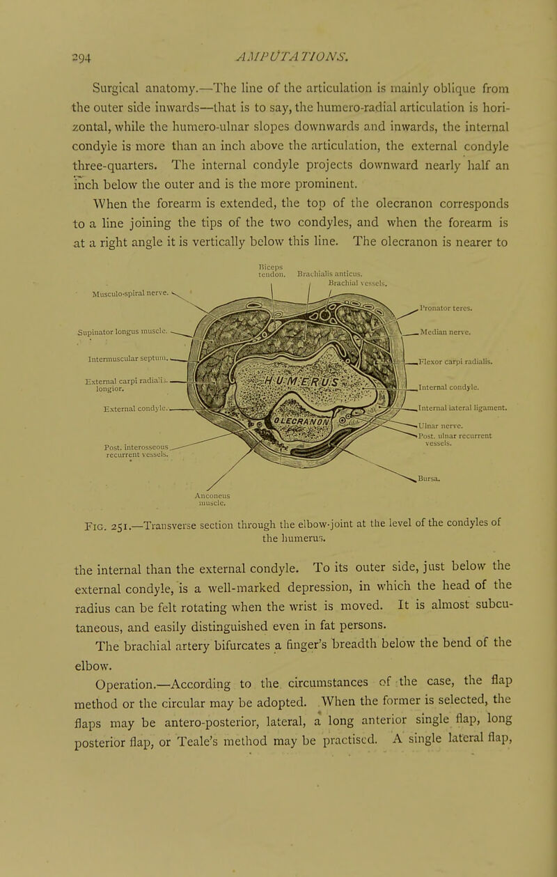 Surgical anatomy.—The line of the articulation is mainly oblique from the outer side inwards—that is to say, the humero-radial articulation is hori- zontal, while the humero-ulnar slopes downwards and inwards, the internal condyle is more than an inch above the articulation, the external condyle three-quarters. The internal condyle projects downward nearly half an inch below the outer and is the more prominent. When the forearm is extended, the top of the olecranon corresponds to a line joining the tips of the two condyles, and when the forearm is at a right angle it is vertically below this line. The olecranon is nearer to Hiceps tendon. Brachialis anticus. Anconeus uiusclc. Fig. 251.—Transverse section through the elbow-joint at the level of the condyles of the liumerur;. the internal than the external condyle. To its outer side, just below the external condyle, is a well-marked depression, in which the head of the radius can be felt rotating when the wrist is moved. It is almost subcu- taneous, and easily distinguished even in fat persons. The brachial artery bifurcates a finger's breadth below the bend of the elbow. Operation.—According to the circumstances of the case, the flap method or the circular may be adopted. When the former is selected, the flaps may be antero-posterior, lateral, a long anterior single flap, long posterior flap, or Teale's method may be practised. A single lateral flap,