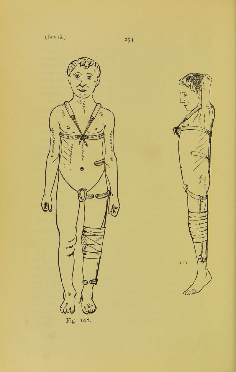 254 Fig. I08.