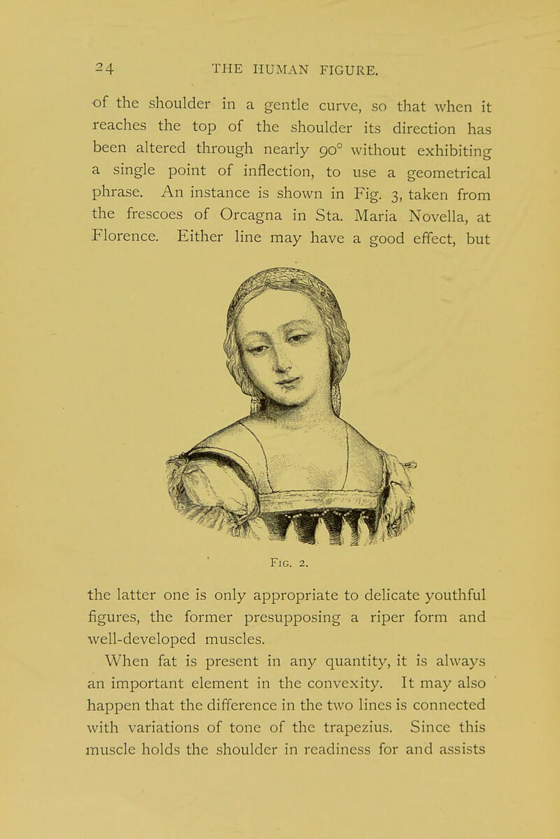 of the shoulder in a gentle curve, so that when it reaches the top of the shoulder its direction has been altered through nearly 900 without exhibiting a single point of inflection, to use a geometrical phrase. An instance is shown in Fig. 3, taken from the frescoes of Orcagna in Sta. Maria Novella, at Florence. Either line may have a good effect, but Fig. 2. the latter one is only appropriate to delicate youthful figures, the former presupposing a riper form and well-developed muscles. When fat is present in any quantity, it is always an important element in the convexity. It may also happen that the difference in the two lines is connected with variations of tone of the trapezius. Since this muscle holds the shoulder in readiness for and assists