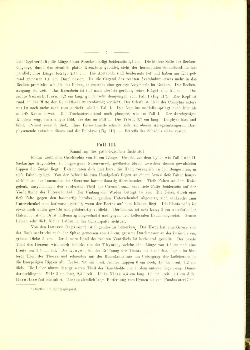 beinflügel verläuft; die Länge dieser Strecke beträgt beiderseits 1,1 cm. Die hintere Seite des Becken- cingangs, durch das ziemlich platte Kreuzbein gebildet, steht der horizontalen Schambeinlinie fast parallel; ihre Länge beträgt 2,15 cm. Die Acetabula sind beiderseits tief und haben am Knorpel- rand gemessen 1,1 cm Durchmesser. Da die Gegend des rechten Acetabulum etwas mehr in das Becken prominirt Avie die des linken, so entsteht eine geringe Assymetrie im Becken. Der Becken- ausgang ist weit. Das Kreuzbein ist tief nach abwärts gerückt, seine Flügel sind klein. — Das rechte Schenkelbein, 4,2 cm lang, gleicht sehr demjenigen vom Fall I (Fig. II1). Der Kopf ist rund, in der Mitte der Gelenkfläche warzenförmig verdickt. Der Schaft ist dick; der Condylus exter- nus ist noch mehr nach vorn gerückt, wie im Fall I. Der Angulus medialis springt auch hier als scharfe Kante hervor. Die Trochanteren sind noch plumper, wie im Fall I. Der durchgesägte Knochen zeigt ein analoges Bild, wie das im Fall I. Die Tibia, 3,7 cm lang. Diaphyse hart und breit. Periost ziemlich dick. Eine Periostlamelle schiebt sich am oberen unresrelmässiireren Dia- physenende zwischen dieses und die Epiphyse (Fig. II2). - - Betreffs des Schädels siehe später. Fall III. (Sammlung des pathologischen Instituts.) Foetus weiblichen Geschlechts von 40 cm Länge. Gesicht von dem Typus wie Fall I und II. Sackartige Augenlider, tiefeingezogene Nasenwurzel, geöffneter Mund, zwischen dessen gewulsteten Lippen die Zunge liegt. Extremitäten dick und kurz, die Haut, vorzüglich an den Beugeseiten, in tiefe Falten gelegt. Von der Achsel bis zum Handgelenk liegen an einem Arm 5 tiefe Falten haupt- sächlich an der Innenseite der Oberarme harmonikaartig übereinander. Tiefe Falten an dem Knie- gelenk, ausgenommen den vordersten Theil der Circumferenz; eine tiefe Falte beiderseits auf der Yorderfläche der Unterschenkel. Der Umfang der Waden beträgt 14 cm. Die Füsse, durch eine tiefe Falte gegen den hosenartig herüberhängenden Unterschenkel abgesetzt, sind senkrecht zum Unterschenkel und horizontal gestellt, wenn der Foetus auf dem Rücken liegt. Die Planta pedis ist etwas nach unten gewölbt und polsterartig verdickt. Der Thorax ist sehr kurz; 5 cm unterhalb der Halsrinne ist die Brust taillenartig eingeschnürt und gegen den kollossalen Bauch abgesetzt. Grosse Labien sehr dick, kleine Labion in der Schamspalte sichtbar. Von den inneren Organen*) ist folgendes zu bemerken. Das Herz hat eine Grösse von der Basis senkrecht nach der Spitze gemessen von 4,2 cm, grösster Durchmesser an der Basis 3,7 cm, grösste Dicke 3 cm. Der äussere Rand des rechten Ventrikels ist horizontal gestellt. Der basale Theil des Herzens wird noch bedeckt von der Thymus, welche eine Länge von 4,2 cm und eine Breite von 3,5 cm hat. Die Lungen, bei der Eröffnung der Thorax nicht sichtbar, liegen im hin- teren Theil der Thorax und schneiden mit der Rosenkranzlinie am Uebergang der knöchernen in die knorpeligen Rippen ab. Leber 9,6 cm breit, rechter Lappen G cm hoch, 4,0 cm breit, 4,2 cm dick. Die Leber nimmt den grösseren Theil der Bauchhöhle ein; in dem unteren liegen enge Dünn- darmschlingen. Milz 3 cm lang, 2,3 breit. Linke Niere 3,3 cm lang, 1,5 cm breit, 1,4 cm dick. Harnblase fast contrahirt. Uterus ziemlich lang. Entfernung vom Hymen bis zum Fundus uteri 7 cm. *) Section am Spirituspräparat.