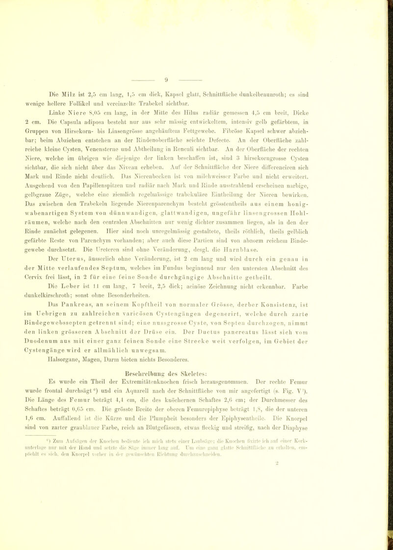 Die Milz ist 2,5 cm lang1, 1,5 cm dick, Kapsel glatt, Schnittfläche dunkclbraunroth; es sind wenige hellere Follikel und vereinzelte Trabekel sichtbar. Linke Niere 8,05 cm lang, in der Mitte des Hilus radiär gemessen 4,5 cm breit, Dicke 2 cm. Die Capsula adiposa besteht nur aus sehr massig entwickeltem, intensiv gelb gefärbtem, in Gruppen von Hirsekorn- bis Linsengrüsse angehäuftem Fettgewebe. Fibröse Kapsel schwer abzieh- bar; beim Abziehen entstehen an der Rindenoberfläche seichte Defecte. An der Oberfläche zahl- reiche kleine Cysten, Venensterne und Abtheilung in Rcnculi sichtbar. An der Oberfläche der rechten Niere, welche im übrigen wie diejenige der linken beschaffen ist, sind 3 hirsekorngrosse Cysten sichtbar, die sich nicht über das Niveau erheben. Auf der Schnittfläche der Niere differenciren sich Mark und Rinde nicht deutlich. Das Nierenbecken ist von milchweisser Farbe und nicht erweitert. Ausgehend von den Papillenspitzen und radiär nach Mark und Rinde ausstrahlend erscheinen narbige, gelbgraue Züge, welche eine ziemlich regelmässige trabekuläre Eintheilung der Nieren bewirken. Das zwischen den Trabckeln liegende Nierenparenchym besteht grösstentheils aus einem honig- wabenartigen System von dünnwandigen, glatt wand igen, ungefähr linsengrossen Hohl- räumen, welche nach den centralen Abschnitten nur wenig dichter zusammen liegen, als in den der Rinde zunächst gelegenen. Hier sind noch unregelmässig gestaltete, theils rüthlich, theils gelblich gefärbte Reste von Parenchym vorhanden; aber auch diese Partien sind von abnorm reichem Binde- gewebe durchsetzt. Die Ureteren sind ohne Veränderung, desgl. die Harnblase. Der Uterus, äusserlich ohne Veränderung, ist 2 cm lang und wird durch ein genau in der Mitte verlaufendes Septum, welches im Fundus beginnend nur den untersten Abschnitt des Cervix frei lässt, in 2 für eine feine Sonde durchgängige Abschnitte getheilt. Die Leber ist 11 cm lang, 7 breit, 2,5 dick; acinöse Zeichnung nicht erkennbar. Farbe dunkelkirschroth; sonst ohne Besonderheiten. Das Pankreas, an seinem Kopftheil von normaler Grösse, derber Konsistenz, ist im Uebrigen zu zahlreichen varicösen Cystengängen degenerirt, welche durch zarte Bindegewebssepten getrennt sind; eine nussgrosse Cyste, von Septen durchzogen, nimmt den linken grösseren Abschnitt der Drüse ein. Der Ductus pancreatus lässt sich vom Duodenum aus mit einer ganz feinen Sonde eine Strecke weit verfolgen, im Gebiet der Cystengänge wird er allmählich unwegsam. Ilalsorgane, Magen, Darm bieten nichts Besonderes. Beschreibung des Skeletes: Es wurde ein Theil der Extremitätenknochen frisch herausgenommen. Der rechte Femur wurde frontal durchsägt*) und ein Aquarell nach der Schnittfläche von mir angefertigt (s. Fig. V2). Die Länge des Femur beträgt 4,4 cm, die des knöchernen Schaftes 2,6 cm; der Durchmesser des Schaftes beträgt 0,65 cm. Die grösste Breite der oberen Femurepiphyse beträgt 1,8, die der unteren 1,6 cm. Auffallend ist die Kürze und die Plumpheit besonders der Epiphysenthcile. Die Knorpel sind von zarter graublauer Farbe, reich an Blutgefässen, etwas fleckig und streifig, nach der Diaphyse *) Zum Aufsägen der Knochen bediente ich midi stets einer Laubsäge; die Knochen fixirte ich auf einer Kork- unterlage nur mit der Hand und setzte die Säge immer fing' auf. Um eine ganz glatte Schnittfläche zu erhalten, em- pfiehlt es sich, den Knorpel vorher in der gewünschten Richtung durchzuschneiden. 2