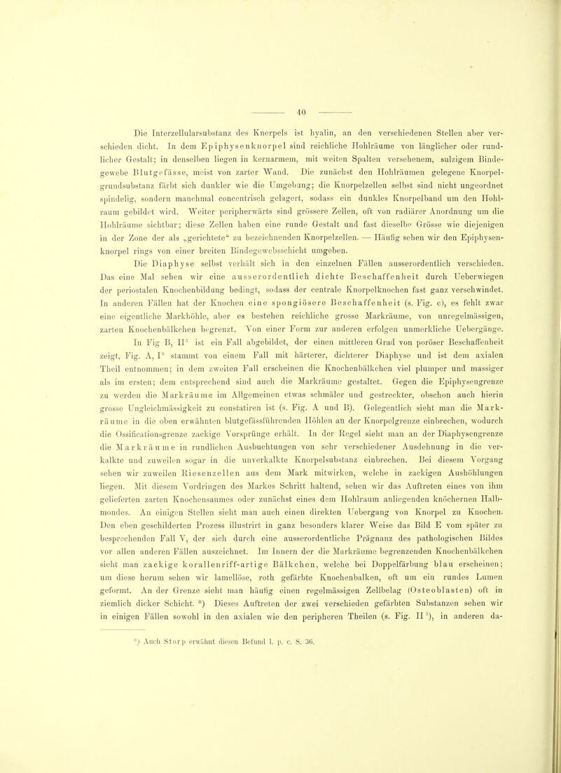 Die Interzellularsubstanz des Knorpels ist hyalin, an den verschiedenen Stellen aber ver- schieden dicht. In dem Ep iphysenknorpel sind reichliche Hohlräume von länglicher oder rund- licher Gestalt; in denselben liegen in kernarmem, mit weiten Spalten versehenem, sulzigem Binde- gewebe Blutgefässe, meist von zarter Wand. Die zunächst den Hohlräumen gelegene Knorpel- grundsubstanz färbt sich dunkler wie die Umgebung; die Knorpelzellen selbst sind nicht ungeordnet spindelig, sondern manchmal concentrisch gelagert, sodass ein dunkles Knorpelband um den Hohl- raum gebildet wird. Weiter peripherwärts sind grössere Zellen, oft von radiärer Anordnung um die Hohlräume sichtbar; diese Zellen haben eine runde Gestalt und fast dieselbe Grösse wie diejenigen in der Zone der als „gerichtete zu bezeichnenden Knorpelzellen. — Häufig sehen wir den Epiphysen- knorpel rings von einer breiten Bindegewebsschicht umgeben. Die Diaphyse selbst verhält sich in den einzelnen Fällen ausserordentlich verschieden. Das eine Mal sehen wir eine ausserordentlich dichte Beschaffenheit durch Ueberwiegen der periostalen Knochenbildung bedingt, sodass der centrale Knorpelknochen fast ganz verschwindet. In anderen Fällen hat der Knochen eine spongiösere Beschaffenheit (s. Fig. c), es fehlt zwar eine eigentliche Markhöhle, aber es bestehen reichliche grosse Markräume, von unregelmässigen, zarten Knochenbälkchen begrenzt. Von einer Form zur anderen erfolgen unmerkliche Uebergänge. In Fig B, II5 ist ein Fall abgebildet, der einen mittleren Grad von poröser Beschaffenheit zeigt, Fig. A, I8 stammt von einem Fall mit härterer, dichterer Diaphyse und ist dem axialen Theil entnommen; in dem zweiten Fall erscheinen die Knochenbälkchen viel plumper und massiger als im ersten; dem entsprechend sind auch die Markräume gestaltet. Gegen die Epiphysengrenze zu werden die Markräume im Allgemeinen etwas schmäler und gestreckter, obschon auch hierin grosse Ungleichmässigkeit zu constatiren ist (s. Fig. A und B). Gelegentlich sieht man die Mark- räume in die oben erwähnten blutgefässführcnden Höhlen an der Knorpelgrenze einbrechen, wodurch die Ossificationsgrenze zackige Vorsprünge erhält. In der Kegel sieht man an der Diaphyscngrenze die Mark räume in rundlichen Ausbuchtungen von sehr verschiedener Ausdehnung in die ver- kalkte und zuweilen sogar in die unverkalkte Knorpelsubstanz einbrechen. Bei diesem Vorgang sehen wir zuweilen Riesenzellen aus dem Mark mitwirken, welche in zackigen Aushöhlungen liegen. Mit diesem Vordringen des Markes Schritt haltend, sehen wir das Auftreten eines von ihm gelieferten zarten Knochensaumes oder zunächst eines dem Hohlraum anliegenden knöchernen Halb- mondes. An einigen Stellen sieht man auch einen direkten Uebergang von Knorpel zu Knochen. Den eben geschilderten Prozess illustrirt in ganz besonders klarer Weise das Bild E vom später zu besprechenden Fall V, der sich durch eine ausserordentliche Prägnanz des pathologischen Bildes vor allen anderen Fällen auszeichnet. Im Innern der die Markräume begrenzenden Knochenbälkchen sieht man zackige korallenriff-artige Bälkchen, welche bei Doppelfärbung blau erscheinen; um diese herum sehen wir lamellöse, roth gefärbte Knochenbalken, oft um ein rundes Lumen geformt. An der Grenze sieht man häufig einen regelmässigen Zellbelag (Osteoblasten) oft in ziemlich dicker Schicht. *) Dieses Auftreten der zwei verschieden gefärbten Substanzen sehen wir in einigen Fällen sowohl in den axialen wie den peripheren Theilen (s. Fig. II5), in anderen da- *) Auch Storp erwähnt diesen Befund 1. p. c. S. 3C.