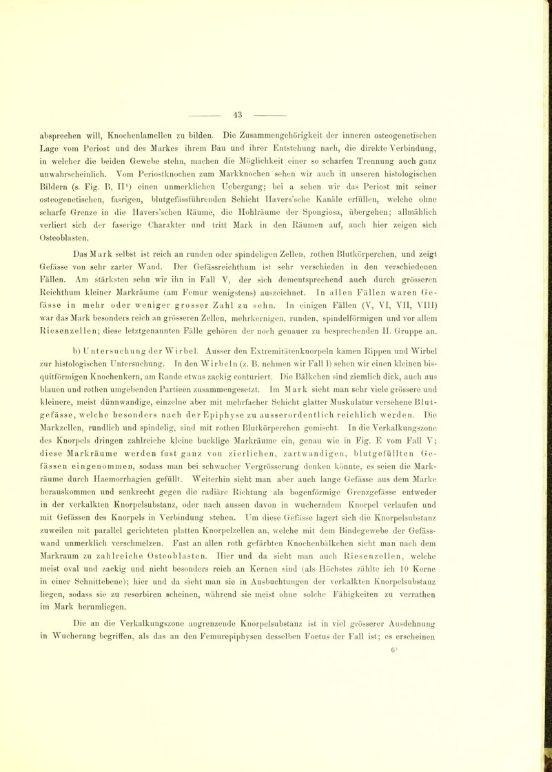 absprechen will, Knochenlamellen zu bilden. Die Zusammengehörigkeit der inneren osteogenetischen Lage vom Periost und des Markes ihrem Bau und ihrer Entstehung nach, die direkte Verbindung, in welcher die beiden Gewebe stehn, machen die Möglichkeit einer so scharfen Trennung auch ganz unwahrscheinlich. Vom Periostknochen zum Markknochen sehen wir auch in unseren histologischen Bildern (s. Fig. B, II5) einen unmerklichen Uebergang; bei a sehen wir das Periost mit seiner osteogenetischen, fasrigen, blutgefässführenden Schicht Ilavers'sche Kanäle erfüllen, welche ohne scharfe Grenze in die Havers'schen Räume, die Hohlräume der Spongiosa, übergehen; allmählich verliert sich der faserige Charakter und tritt Mark in den Räumen auf, auch hier zeigen sich Osteoblasten. Das Mark selbst ist reich an runden oder spindeligen Zellen, rothen Blutkörperchen, und zeigt Gefässe von sehr zarter Wand. Der Gefässreichthum ist sehr verschieden in den verschiedenen Fällen. Am stärksten sehn wir ihn in Fall V, der sich dementsprechend auch durch grösseren Reichthum kleiner Markräume (am Femur wenigstens) auszeichnet. In allen Fällen waren Ge- fässe in mehr oder weniger grosser Zahl zu sehn. In einigen Fällen (V, VI, VII, VIII) war das Mark besonders reich an grösseren Zellen, mehrkernigen, runden, spindelförmigen und vor allem Riesenzellen; diese letztgenannten Fälle gehören der noch genauer zu besprechenden IL Gruppe an. b) Untersuchung der Wirbel. Ausser den Extremitätenknorpeln kamen Rippen und Wirbel zur histologischen Untersuchung. In den Wirbeln (z. B. nehmen wir Fall I) sehen wir einen kleinen bis- quitförmigen Knochenkern, am Rande etwas zackig conturiert. Die Bälkchen sind ziemlich dick, auch aus blauen und rothen umgebenden Partieen zusammengesetzt. Im Mark sieht man sehr viele grössere und kleinere, meist dünnwandige, einzelne aber mit mehrfacher Schicht glatter Muskulatur versehene Blut- gefässe, welche besonders nach der Epiphyse zu ausserordentlich reichlich werden. Die Markzellen, rundlich und spindelig, sind mit rothen Blutkörperchen gemischt. In die Verkalkungszone des Knorpels dringen zahlreiche kleine bucklige Markräume ein, genau wie in Fig. E vom Fall V; diese Markräume werden fast ganz von zierlichen, zartwandigen, blutgefüllten Ge- fässen eingenommen, sodass man bei schwacher Vergrösserung denken könnte, es seien die Mark- räume durch Ilaemorrhagien gefüllt. Weiterhin sieht man aber auch lange Gefässe aus dem Marke herauskommen und senkrecht gegen die radiäre Richtung als bogenförmige Grenzgefässe entweder in der verkalkten Knorpelsubstanz, oder nach aussen davon in wucherndem Knorpel verlaufen und mit Gelassen des Knorpels in Verbindung stehen. Um diese Gefässe lagert sich die Knorpelsubstanz zuweilen mit parallel gerichteten platten Knorpelzellen an, welche mit dem Bindegewebe der Gefäss- wand unmerklich verschmelzen. Fast an allen roth gefärbten Knochenbälkchen sieht man nach dem Markraum zu zahlreiche Osteoblasten, liier und da sieht man auch Riesenzellen, welche meist oval und zackig und nicht besonders reich an Kernen sind (als Höchstes zählte ich 10 Kerne in einer Schnittebene); hier und da sieht man sie in Ausbuchtungen der verkalkten Knorpelsubstanz liegen, sodass sie zu resorbiren scheinen, während sie meist ohne solche Fähigkeiten zu verrathen im Mark herumliegen. Die an die Verkalkungszone angrenzende Knorpelsubstanz ist in viel grösserer Ausdehnung in Wucherung begriffen, als das an den Femurepiphysen desselben Foetus der Fall ist; es erscheinen