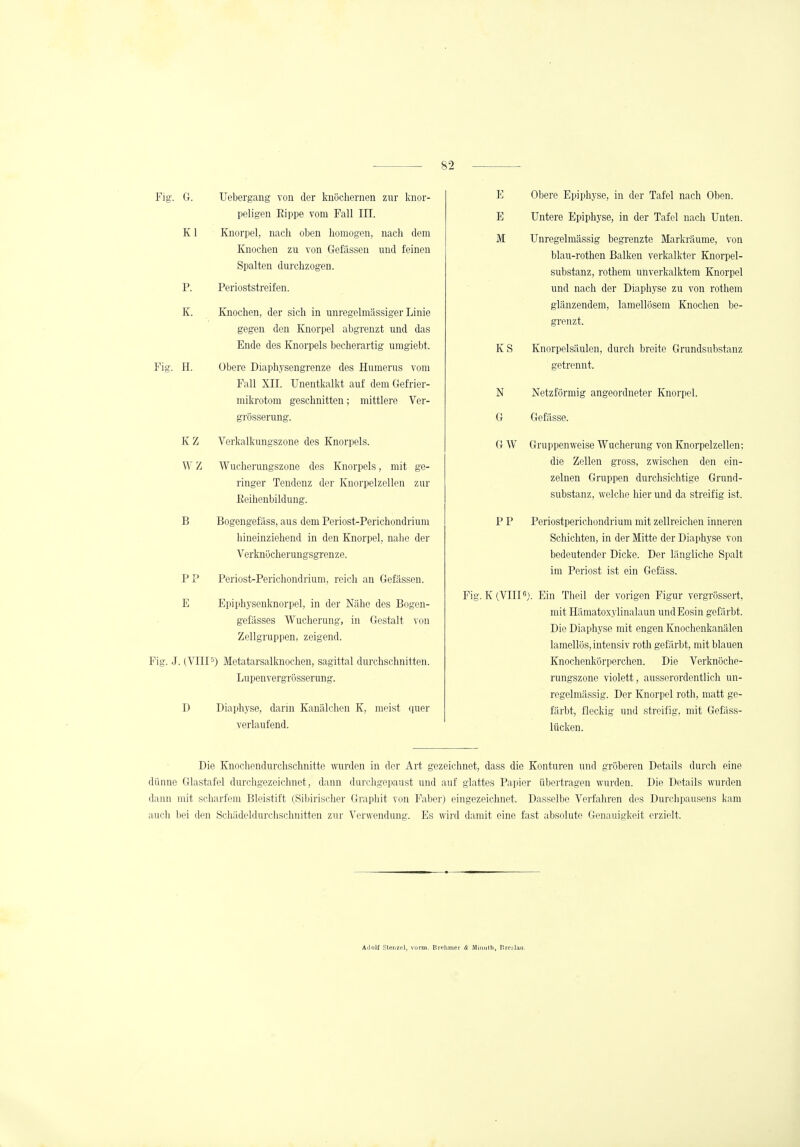 Fig. G. Uebergang von der knöchernen zur knor- peligen Kippe vom Fall III. K1 Knorpel, nach oben homogen, nach dem Knochen zu von Gefiissen und feinen Spalten durchzogen. P. Perioststrcifen. K. Knochen, der sich in unregelmässiger Linie gegen den Knorpel abgrenzt und das Ende des Knorpels becherartig umgiebt. Fig. H. Obere Diaphysengrenze des Humerus vom Fall XII. Unentkalkt auf dem Gefrier- mikrotom geschnitten; mittlere Ver- grösserung. K Z Verkalkungszone des Knorpels. W Z Wucherungszone des Knorpels, mit ge- ringer Tendenz der Knorpelzellen zur Keihcnbildung. B Bogengefüss, aus dem Periost-Perichondrium hineinziehend in den Knorpel, nahe der Verknöcherungsgrenze. PP Periost-Perichondrium, reich an Gefässen. E Epiphysenknorpel, in der Nähe des Bogen- gefässes Wucherung, in Gestalt von Zellgruppen, zeigend. Fig. J. (VHP) Metatarsalknochen, sagittal durchschnitten. Lupenvergrösserung. D Diaphyse, darin Kanälchen K, meist quer verlaufend. E Obere Epiphyse, in der Tafel nach Oben. E Untere Epiphyse, in der Tafel nach Unten. M Unregelmässig begrenzte Markräume, von blau-rothen Balken verkalkter Knorpel- substanz, rothem unverkalktem Knorpel und nach der Diaphyse zu von rothem glänzendem, lamellösern Knochen be- grenzt. K S Knorpelsäulen, durch breite Grundsubstanz getrennt. N Netzförmig angeordneter Knorpel. G Gefässe. G W Gruppenweise Wucherung von Knorpelzellen; die Zellen gross, zwischen den ein- zelnen Gruppen durchsichtige Grund- substanz, welche hier und da streifig ist. P P Periostperichondrium mit zellreichen inneren Schichten, in der Mitte der Diaphyse von bedeutender Dicke. Der längliche Spalt im Periost ist ein Gcfäss. Fig. K (VIII6). Ein Theil der vorigen Figur vergrössert, mit Hämatoxylinalaun und Eosin gefärbt. Die Diaphyse mit engen Knochenkanälen lamellös, intensiv roth gefärbt, mit blauen Knochenkörperchen. Die Verknöche- rungszono violett, ausserordentlich un- regelmässig. Der Knorpel roth, matt ge- färbt, fleckig und streifig, mit Gefäss- lücken. Die Knochcndurchsclmitte wurden in der Art gezeichnet, dass die Konturen und gröberen Details durch eine dünne Glastafel durchgezeichnet, dann durchgepaust und auf glattes Papier übertragen wurden. Die Details wurden dann mit scharfem Bleistift (Sibirischer Graphit von Faber) eingezeichnet. Dasselbe Verfahren des Durclipausens kam auch bei den Schädeldurchschnitten zur Verwendung. Es wird damit eine fast absolute Genauigkeit erzielt. Ailolf Stenzel, vorm. Brelimer & Minuth, Pretlan.