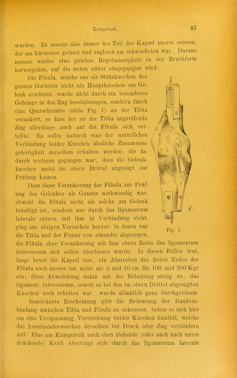 wurden. Es luussLe also immer der Teil der Kapsel zuerst reissen, der am kürzesten gelasst und zugleich am schwächsten war. Daraus musste wieder eine gewisse Regelmässigkeit in der Bruchform hervorgehen, auf die unten näher eingegangen wird. Die Fibula, welche nur als Stützknocheu des ganzen Gerüstes nicht als Hauptkuocheii am Ge- lenk erscheint, wurde nicht durch ein besonderes Gehäuge in den Zug hereinbezogen, sondern durch eine Querschraube (siehe Fig. 7) an dei- Tibia verankert, so dass der an der Tibia angreifende Zug allerdings auch auf die Fibula sich ver- teilte. Es sollte dadurch eine der natürlichen Verbindung beider Knochen ähnliche Zusammen- gehörigkeit derselben erhalten werden, die da- durch verloren gegangen war, dass die Gelenk- kuochen meist im obern Drittel abgesägt zur Prüfung kamen. Dass diese Verankerung der Fibula zur Prüf- ung des Gelenkes als Ganzes nothwendig war, obwohl die Fibula nicht als solche am Gelenk beteiligt ist, sondern nur durch das ligamentum laterale extern, mit ihm in Verbindung steht, ging aus einigen Versuchen hervor, in denen nur die Tibia und der Femur von einander abgezogen, die Fibula ohne Verankerung mit dem obern Reste des ligamentum interosseum sich selbst überlassen wurde. In diesen Fällen trat, lange bevor die Kapsel riss, ein Abstreben des freien Endes der Fibula nach aussen um mehr als 5 und 10 cm für 100 und 200 Kgr ein; diese Abweichung nahm mit der Belastung stetig zn, das ligament. interosseum, soweit es bei den im obern Drittel abgesägten Knochen noch erhalten war, wurde allmälich ganz durchgerissen. Bezeichnete Erscheinung gibt die Bedeutung der Bandver- bindung zwischen Tibia und Fibula zu erkennen, indem es sich hier um eine Verspannung, Verstrebung beider Knochen handelt, welche das Auseinanderweichen derselben bei Druck oder Zug verhindern soll: p]ine am Kniegelenk nach oben ziehende (oder auch nach unten drückende) Kraft überträgt sich durch das ligamentum laterale