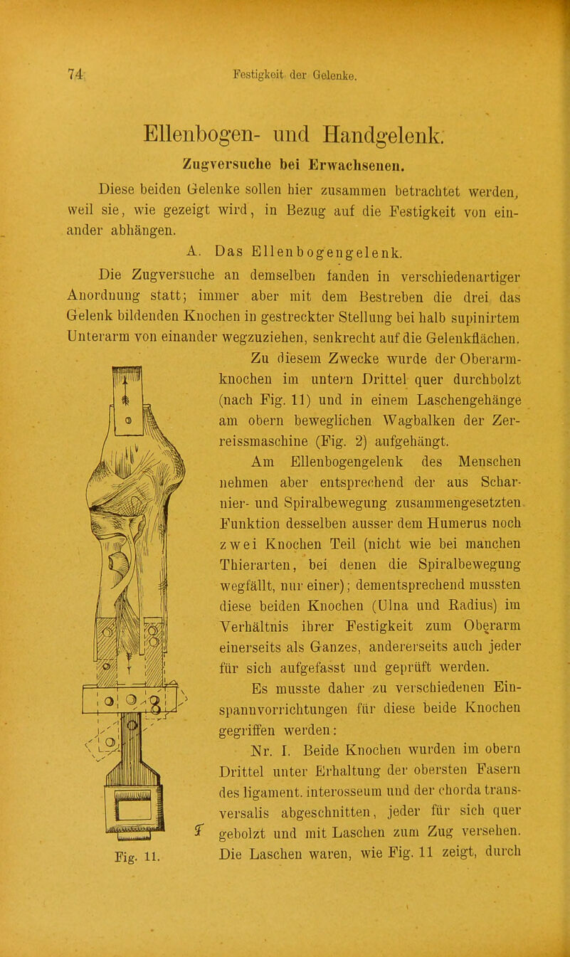 Ellenbogen- und Handgelenk. Zugversuche bei Erwachsenen. Diese beiden Gelenke sollen hier zusammen betrachtet werden, weil sie, wie gezeigt wird, in Bezug auf die Festigkeit von ein- ander abhängen. A. Das Ellenbogengelenk. Die Zugversuche an demselben fanden in verschiedenartiger Anordnung statt; immer aber mit dem Bestreben die drei das Gelenk bildenden Knochen in gestreckter Stellung bei halb supinirtem Unterarm von einander wegzuziehen, senkrecht auf die Gelenkflächen. Zu diesem Zwecke wurde der Oberarm- knochen im untei-n Drittel quer durchbolzt (nach Fig. 11) und in einem Laschengehänge am Obern beweglichen Wagbalken der Zer- reissmaschine (Fig. 2) aufgehängt. Am Ellenbogengelenk des Menschen nehmen aber entsprechend der aus Schar- nier- und Spiralbewegung zusammengesetzten . Funktion desselben ausser dem Humerus noch zwei Knochen Teil (nicht wie bei manchen Thierarten, bei denen die Spiralbewegung wegfällt, unreiner); dementsprechend mussten diese beiden Knochen (Ulna und Radius) im Verhältnis ihrer Festigkeit zum Oberarm einerseits als Ganzes, andererseits auch jeder für sich aufgefasst und geprüft werden. Es musste daher zu verschiedenen Ein- spannvorrichtungen für diese beide Knochen gegriffen werden: Nr. I. Beide Knochen wurden im obern Drittel unter Erhaltung der obersten Fasern des ligament. interosseum und der ehorda trans- versalis abgeschnitten, jeder für sich quer gebolzt und mit Laschen zum Zug versehen. Fig. 11. Die Laschen waren, wie Fig. 11 zeigt, durch er