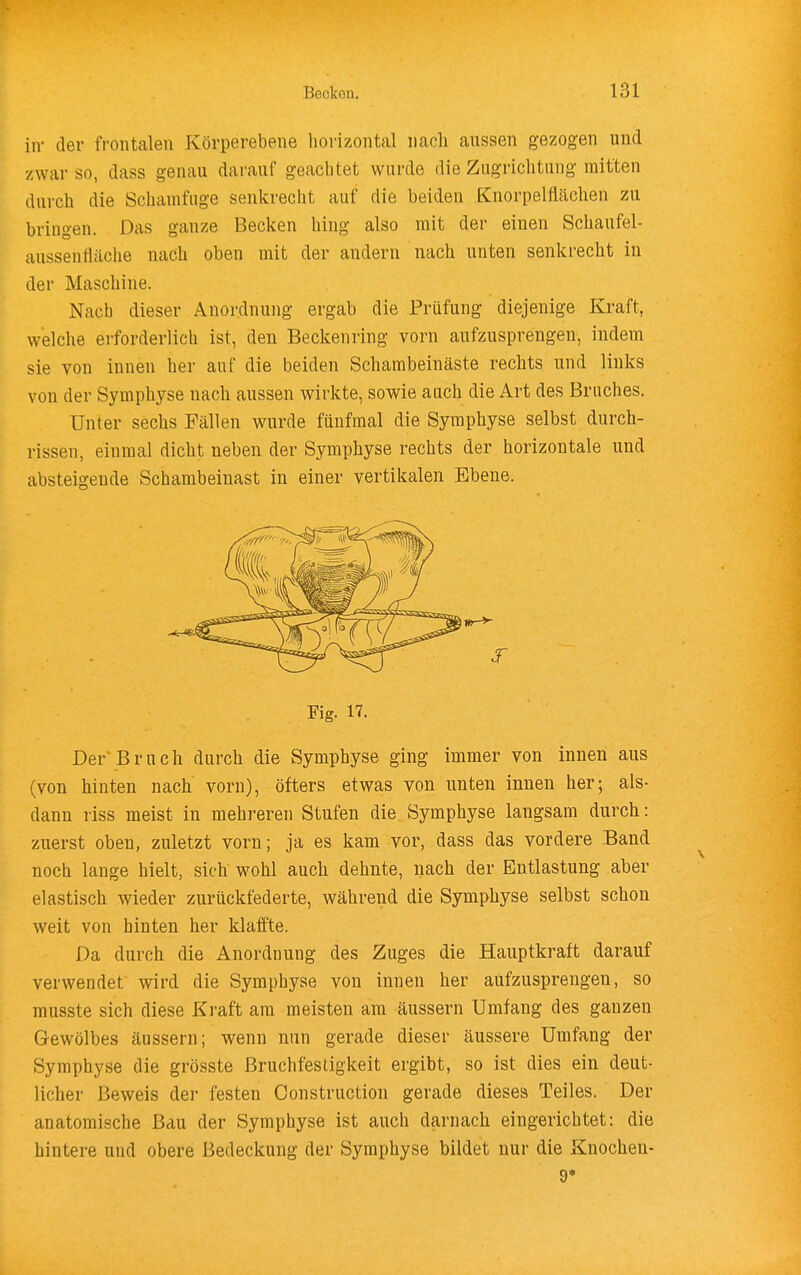 in- der frontalen Körperebene horizontal nach aussen gezogen und zwar so, dass genau darauf geachtet wurde die Zugrichtiing mitten durch die Schamfuge senkrecht auf die beiden Knorpeliiächen zu bringen. Das ganze Becken hing also mit der einen Schaufel- aussenüäche nach oben mit der andern nach unten senkrecht in der Maschine. Nach dieser Anordnung ergab die Prüfung diejenige Kraft, welche erforderlich ist, den Beckenring vorn aufzusprengen, indem sie von innen her auf die beiden Schambeinäste rechts und links von der Symphyse nach aussen wirkte, sowie auch die Art des Bruches. Unter sechs Fällen wurde fünfmal die Symphyse selbst durch- rissen, einmal dicht neben der Symphyse rechts der horizontale und absteigende Schambeiuast in einer vertikalen Ebene. Fig. 17. DerBruch durch die Symphyse ging immer von innen aus (von hinten nach vorn), öfters etwas von unten innen her; als- dann riss meist in mehreren Stufen die. Symphyse langsam durch: zuerst oben, zuletzt vorn; ja es kam vor, dass das vordere Band noch lange hielt, sich wohl auch dehnte, nach der Entlastung aber elastisch wieder zurückfederte, während die Symphyse selbst schon weit von hinten her klaffte. Da durch die Anordnung des Zuges die Hauptkraft darauf verwendet wird die Symphyse von innen her aufzusprengen, so musste sich diese Kraft am meisten am äussern Umfang des ganzen Gewölbes äussern; wenn nun gerade dieser äussere Umfang der Symphyse die grösste Bruchfestigkeit ergibt, so ist dies ein deut- licher Beweis der festen Construction gerade dieses Teiles. Der anatomische Bau der Symphyse ist auch darnach eingerichtet: die hintere und obere Bedeckung der Symphyse bildet nur die Knochen- 9*