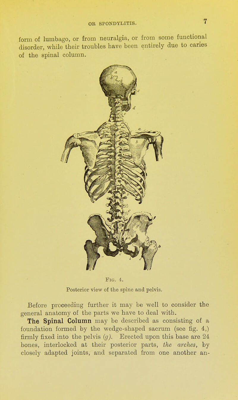 form of lumbago, or from neuralgia, or from some functional disorder, while their troubles have been entirely due to caries of the spinal column. Pig. 4. Posterior view of the spine and pelvis. Before proceeding further it may be well to consider the general anatomy of the parts we have to deal with. The Spinal Column may be described as consisting of a foundation formed by the wedge-shaped sacrum (see fig. 4,) firmly fixed into the pelvis (g). Erected upon this base are 24 bones, interlocked at their posterior parts, the arches, by closely adapted joints, and separated from one another an-