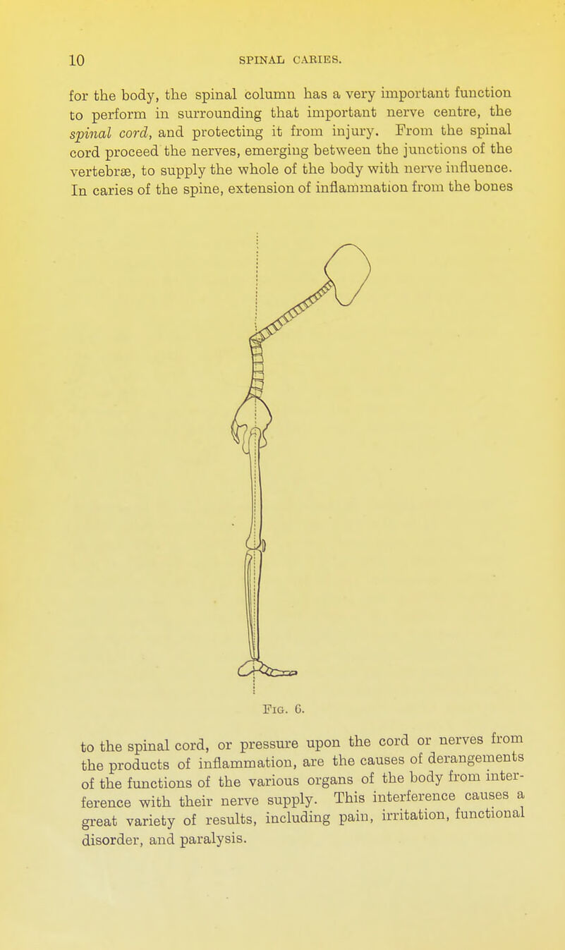 for the body, the spinal column has a very important function to perform in surrounding that important nerve centre, the spinal cord, and protecting it from injury. From the spinal cord proceed the nerves, emerging between the junctions of the vertebrae, to supply the whole of the body with nerve influence. In caries of the spine, extension of inflammation from the bones Fig. G. to the spinal cord, or pressure upon the cord or nerves from the products of inflammation, are the causes of derangements of the functions of the various organs of the body from inter- ference with their nerve supply. This interference causes a great variety of results, including pain, irritation, functional disorder, and paralysis.