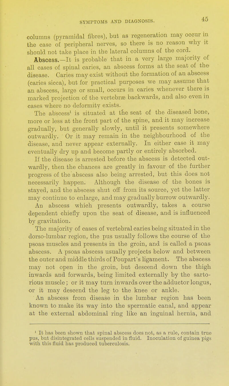 columns (pyramidal fibres), but as regeneration may occur m the case of peripheral nerves, so there is no reason why it should not take place in the lateral columns of the cord. Abscess.—It is probable that in a very large majority of all cases of spinal caries, an abscess forms at the seat of the- disease. Caries may exist without the formation of an abscess (caries sicca), but for practical purposes we may assume that an abscess, large or small, occurs in caries whenever there is marked projection of the vertebras backwards, and also even in cases where no deformity exists. The abscess1 is situated at the seat of the diseased bone, more or less at the front part of the spine, and it may increase gradually, but generally slowly, until it presents somewhere outwardly. Or it may remain in the neighbourhood of the disease, and never appear externally. In either case it may eventually dry up and become partly or entirely absorbed. If the disease is arrested before the abscess is detected out- wardly, then the chances are greatly in favour of the further progress of the'abscess also being arrested, but this does not necessarily happen. Although the disease of the bones is stayed, and the abscess shut off from its source, yet the latter may continue to enlarge, and may gradually burrow outwardly. An abscess which presents outwardly, takes a course dependent chiefly upon the seat of disease, and is influenced by gravitation. The majority of cases of vertebral caries being situated in the dorso-lumbar region, the pus usually follows the course of the psoas muscles and presents in the groin, and is called a psoas abscess. A psoas abscess usually projects below and between the outer and middle thirds of Poupart's ligament. The abscess may not open in the groin, but descend down the thigh inwards and forwards, being limited externally by the sarto- rious muscle ; or it may turn inwards over the adductor longus, or it may descend the leg to the knee or ankle. An abscess from disease in the lumbar region has been known to make its way into the spermatic canal, and appear at the external abdominal ring like an inguinal hernia, and 1 It has been shown that spinal abscess does not, as a rule, contain true pus, but disintegrated cells suspended in fluid. Inoculation of guinea pigs with this fluid has produced tuberculosis.