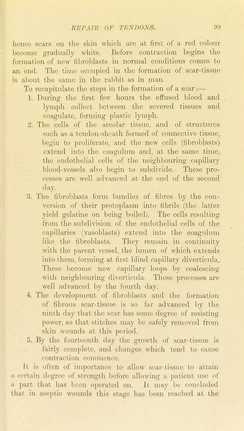hence soars on the skin which are at first of a red colour become gradually white. Before contraction begins the formation of new fibroblasts in normal conditions comes to an end. The time occupied in the formation of scar-tissue is about the same in the rabbit as in man. To recapitulate the steps in the formation of a scar:— 1. Durinar the first few hours the effused blood and lymph collect between the severed tissues and coagulate, forming plastic lymph. 2. The cells of the areolar tissue, and of structures such as a tendon-sheath formed of connective tissue, begin to proliferate, and the new cells (fibroblasts) extend into the coagulum and, at the same time, the endothelial cells of the neighbouring capillary blood-vessels also begin to subdivide. These pro- cesses are well advanced at the end of the second day. 3. The fibroblasts form bundles of fibres by the con- version of their protoplasm into fibrils (the latter yield gelatine on being boiled). The cells resulting from the subdivision of the endothelial cells of the capillaries (vasoblasts) extend into the coagulum like the fibroblasts. They remain in continuity with the parent vessel, the lumen of which extends into them, (brining at first blind capillary diverticula. These become new capillary loops by coalescing with neighbouring diverticula. These processes are well advanced by the fourth day. 4. The development of fibroblasts and the formation of fibrous scar-tissue is so far advanced by the ninth day that the scar has some degree of resisting power, so that stitches may be safely removed from skin wounds at this period. 5. By the fourteenth day the growth of scar-tissue is fairly complete, and changes which tend to cause contraction commence. It is often of iinportance to allow scar-tissue to attain a certain degree of strength before allowing a patient use of a part that has been operated on. It may be concluded that in aseptic wounds this stage has been reached at the