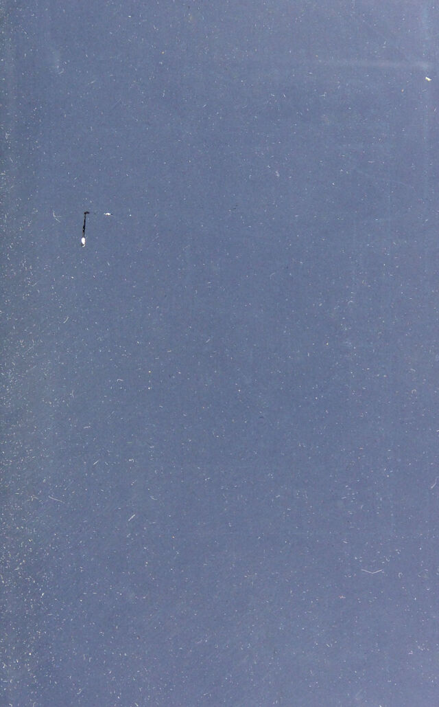 digitised image 3