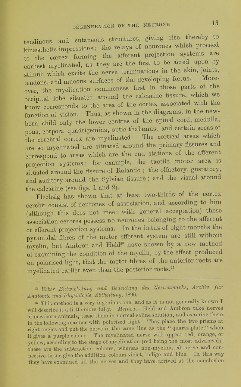 tendinous, and cutaneous structures, giving rise thereby to kinesthetic impressions ; the relays of neurones which proceed to the cortex forming the afferent projection systems are earliest myelinated, as they are the first to be acted upon by stimuli which excite the nerve terminations m the skin, joints, tendons, and mucous surfaces of the developing foetus More- over the myelination commences first in those parts of the occipital lobe situated around the calcarine fissure, which we know corresponds to the area of the cortex associated with the function of vision. Thus, as shown in the diagrams, m the new- born child only the lower centres of the spinal cord, medulla, pons corpora quadrigemina, optic thalamus, and certain areas of the cerebral cortex are myelinated. The cortical areas which are so myelinated are situated around the primary fissures and correspond to areas which are the end stations of the afferent projection systems; for example, the tactile motor area is situated around the fissure of Eolando ; the olfactory, gustatory, and auditory around the Sylvian fissure ; and the visual around the calcarine (see figs. 1 and 2). Elechsig has shown that at least two-thirds of the cortex cerebri consist of neurones of association, and according to him (although this does not meet with general acceptation) these association centres possess no neurones belonging to the afferent or efferent projection systems. In the foetus of eight months the pyramidal fibres of the motor efferent system are still without myelin, but Ambron and Held26 have shown by a new method of examining the condition of the myelin, by the effect produced on polarised light, that the motor fibres of the anterior roots are myelinated earlier even than the posterior roots.27 26 jjeber Entwickelung und Bedeutung des Nervenmarks, Archiv fur Anatomic, und Physiologic, Abthcilung, 1896. 27 This method is a very ingenious one, and as it is not generally known I will describe it a little more fully. Method.— Held and Ambron take nerves of new-bom animals, tease them in normal saline solution, and examine them in the following manner with polarised light. They place the two prisms at right angles and put the nerve iu the same line as the  quartz plate, when it gives a purple colour. The myelinated nerve will appear red, orange, or yellow, according to the stage of myelination (red being the most advanced); these are the subtraction colours, whereas non-myelinated nerve and con- nective tissue give the addition colours violet, indigo and blue. In this way they have examined all the nerves and they have arrived at the conclusion