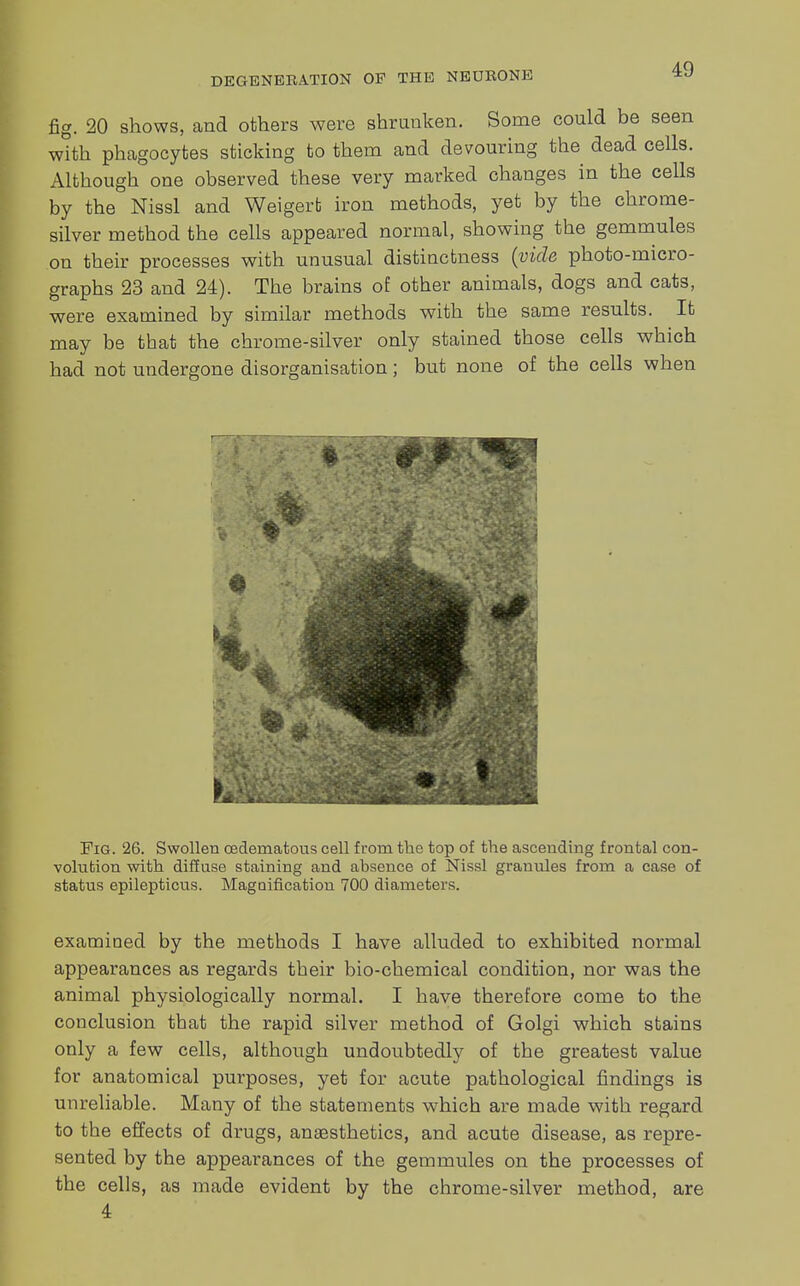 fig. 20 shows, and others were shrunken. Some could be seen with phagocytes sticking to them and devouring the dead cells. Although one observed these very marked changes in the cells by the Nissl and Weigert iron methods, yet by the chrome- silver method the cells appeared normal, showing the gemmules on their processes with unusual distinctness (vide photo-micro- graphs 23 and 24). The brains of other animals, dogs and cats, were examined by similar methods with the same results. It may be that the chrome-silver only stained those cells which had not undergone disorganisation; but none of the cells when Fig. 26. Swollen cedernatous cell from the top of the ascending frontal con- volution with diffuse staining and absence of Nissl granules from a case of status epilepticus. Magnification 700 diameters. examined by the methods I have alluded to exhibited normal appearances as regards their bio-chemical condition, nor was the animal physiologically normal. I have therefore come to the conclusion that the rapid silver method of Golgi which stains only a few cells, although undoubtedly of the greatest value for anatomical purposes, yet for acute pathological findings is unreliable. Many of the statements which are made with regard to the effects of drugs, anaesthetics, and acute disease, as repre- sented by the appearances of the gemmules on the processes of the cells, as made evident by the chrome-silver method, are 4