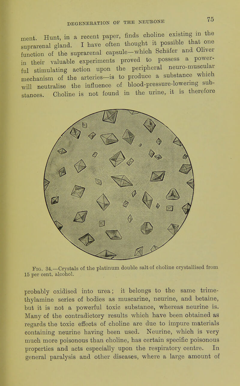 ment. Hunt, in a recent paper, finds choline existing m the suprarenal gland. I have often thought it possible that one function of the suprarenal capsule-which Schafer and Oliver in their valuable experiments proved to possess a power- ful stimulating action upon the peripheral neuro-muscular mechanism of the arteries-is to produce a substance which will neutralise the influence of blood-pressure-lowermg sub- stances. Choline is not found in the urine, it is therefore Fig. 34.—Crystals of the platinum dcrable salt of choline crystallised from 15 per cent, alcohol. probably oxidised into urea; it belongs to the same trime- thylamine series of bodies as muscarine, neurine, and betaine, but it is not a powerful toxic substance, whereas neurine is. Many of the contradictory results which have been obtained as regards the toxic effects of choline are due to impure materials containing neurine having been used. Neurine, which is very much more poisonous than choline, has certain specific poisonous properties and acts especially upon the respiratory centre. In general paralysis and other diseases, where a large amount of