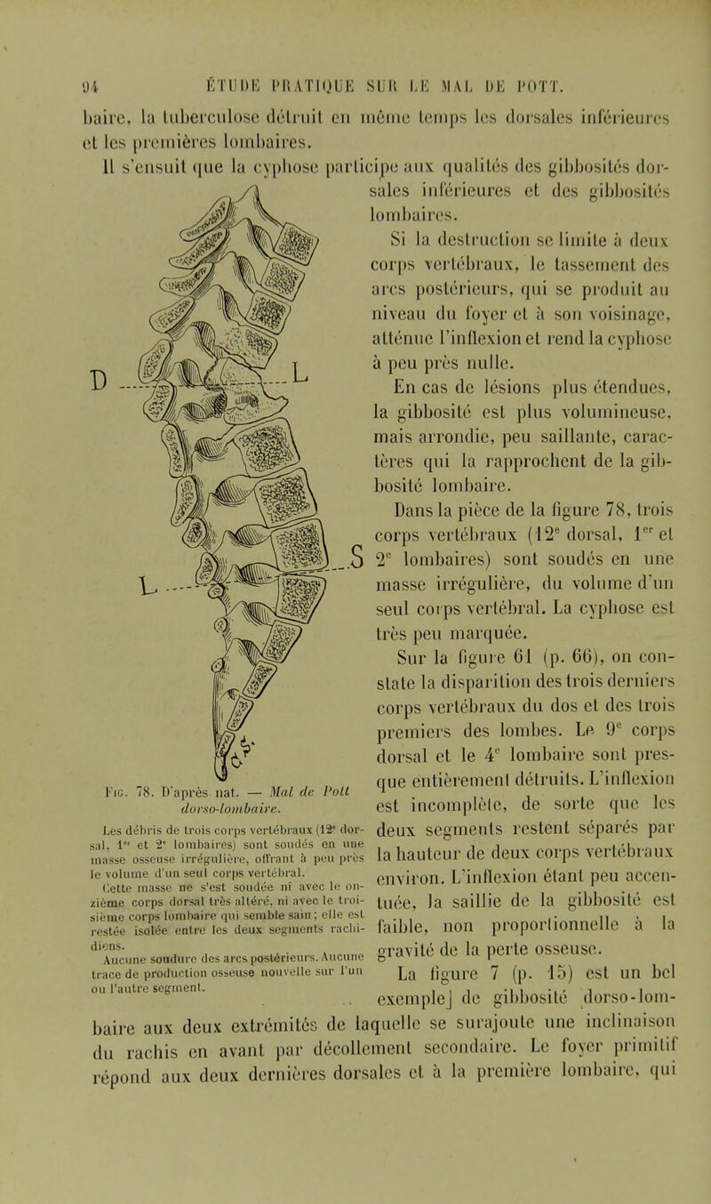 baire, La tuberculose détruil en même temps les dorsales inférieures et les premières lombaires. Il s'ensuit (|ue la cyphose participe aux qualités des gibbosités dor- sales inférieures et des gibbosités lombaires. Si la destruction se limite à deux corps vertébraux, le tassemenl de- arcs postérieurs, qui se produit au niveau du foyer et à son voisinage, atténue l'inflexion et rend la cyphose à peu près nulle. En cas de lésions plus étendue-, la gibbosité est plus volumineuse, mais arrondie, peu saillante, carac- tères qui la rapprochent de la gib- bosité lombaire. Dans la pièce de la ligure 78, trois corps vertébraux (12e dorsal, 1er et L- S 2° lombaires) sont soudés en une masse irrégulière, du volume d'un seul corps vertébral. La cyphose est très peu marquée. Sur la figure 61 (p. 66), on con- state la disparition des trois derniers corps vertébraux du dos et des trois premiers des lombes. Le 9e corps dorsal et le 4e lombaire sont pres- que entièrement détruits. L'inflexion est incomplète, de sorte que les Les débris de trois corps vertébraux (12' tlor- cleUX Segments restent séparés par sal, 1 et 2* lombaires) sont soudés en une , , „„„ „„_ul„„v masse osseuse irrégnlière, offrant à peu près la hauteur de deux corps vertébraux environ. L'inflexion étant peu accen- Vig. 78. D'après nat. — Mal de l'oit dorso-lombaire. le volume d'un seul corps vertébral. Cette masse ne s'est soudée ni avec le on- zième corps dorsal très altéré, ni avec le troi- sième corps lombaire qui semble s;iin ; elle est restée isolée entre les deux segments racbi- dions. Aucune soudure des arcs postérieurs. Aucune trace de production osseuse nouvelle sur l'un ou l'autre segment. tuée, la saillie de la gibbosilé esl la faible, non proportionnelle gravité de la perle osseuse- La ligure 7 (p. 15) est un bel exemplej de gibbosité dorso-lom- baire aux deux extrémités de laquelle se surajoute une inclinaison du rachis en avant par décollement secondaire. Le foyer primitif répond aux deux dernières dorsales cl à la première lombaire, qui