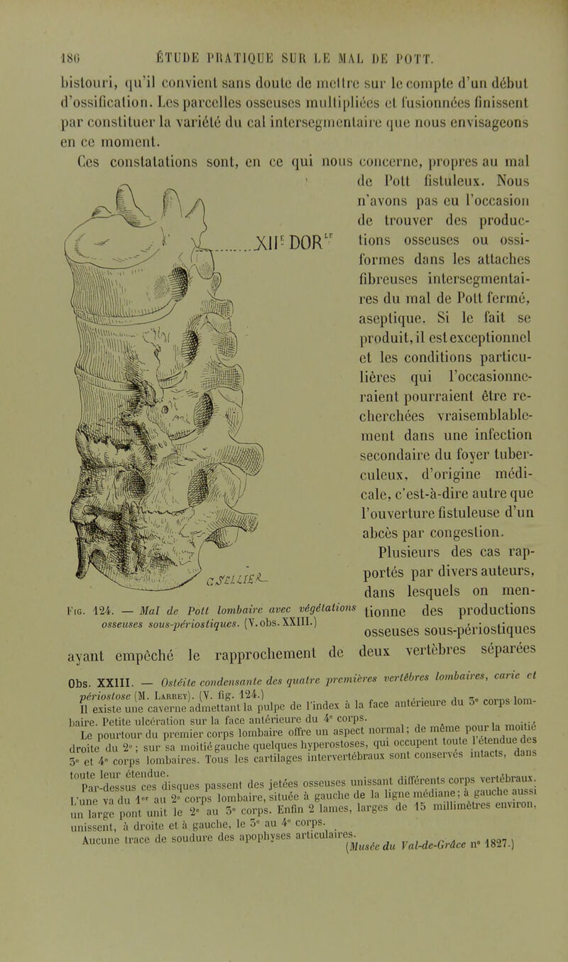 ^IPDOR1 bistouri, qu'il convient sans doute de mettre sur le compte d'un début d'ossification. Les parcelles osseuses multipliées et fusionnées finissent par constituer la variété du cal inlersegrnenlaire que nous envisageons en ce moment. Ces constatations sont, en ce qui nous concerne, propres au mal de Pott listuleux. Nous n'avons pas eu l'occasion de trouver des produc- tions osseuses ou ossi- formes dans les attaches fibreuses intersegmentai- res du mal de Pott fermé, aseptique. Si le fait se produit, il est exceptionnel et les conditions particu- lières qui l'occasionne- raient pourraient être re- cherchées vraisemblable- ment dans une infection secondaire du foyer tuber- culeux, d'origine médi- cale, c'est-à-dire autre que l'ouverture fistuleuse d'un abcès par congestion. Plusieurs des cas rap- portés par divers auteurs, dans lesquels on men- 124. — Mal de Poil lombaire avec vêgêlalions |jonne des productions osseuses sous-périosliques. (V.obs.XXIII.) osseuses SOUS-périostiqUCS ayant empêché le rapprochement de deux vertèbres séparées Obs. XXIII. - Ostéite condensante des quatre premières vertèbres lombaires, carie et périoslose (M. Larrey). (V. hg- 124.) . _ , Il existe une caverne admettant la pulpe de l'index à la face antérieure du d« corps lom- baire. Petite ulcération sur la face antérieure du 4° corps. mn:M Le pourtour du premier corps lombaire offre un aspect normal; de même) pour lamoitié droite du 2»; sur sa moitié gauche quelques hyperostoses, qui occupent .oui, 1 o en due des 3- et 4» corps lombaires. Tous les cartilages intervertébraux sont conserves intacts, dans Tu'-des^^ passent des jetées osseuses unissant différents corps vertébraux. u^arge pont unit le 9- au 5° corps. Enfin 2 lames, larges de 15 millimètres enwron. unissent, à droite et à gauche, le 5e au 4 corps Aucune trace de soudure des apophyses ^cula^es^^ VaUc_Grâcc n. 18S7., l'IG.