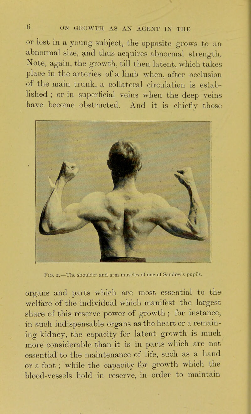 or lost in a young subject, the opposite grows to an abnormal size, and thus acquires abnormal strength. Note, again, the growth, till then latent, which takes place in the arteries of a limb when, after occlusion of the main trunk, a collateral circulation is estab- lished ; or in superficial veins when the deep veins have become obstructed. And it is chiefly those Fig. 2.—The shoulder and arm muscles of one of Sandow's pupils. organs and parts which are most essential to the welfare of the individual which manifest the largest share of this reserve power of growth ; for instance, in such indispensable organs as the heart or a remain- ing kidney, the capacity for latent growth is much more considerable than it is in parts which are not essential to the maintenance of life, such as a hand or a foot ; while the capacity for growth which the blood-vessels hold in reserve, in order to maintain