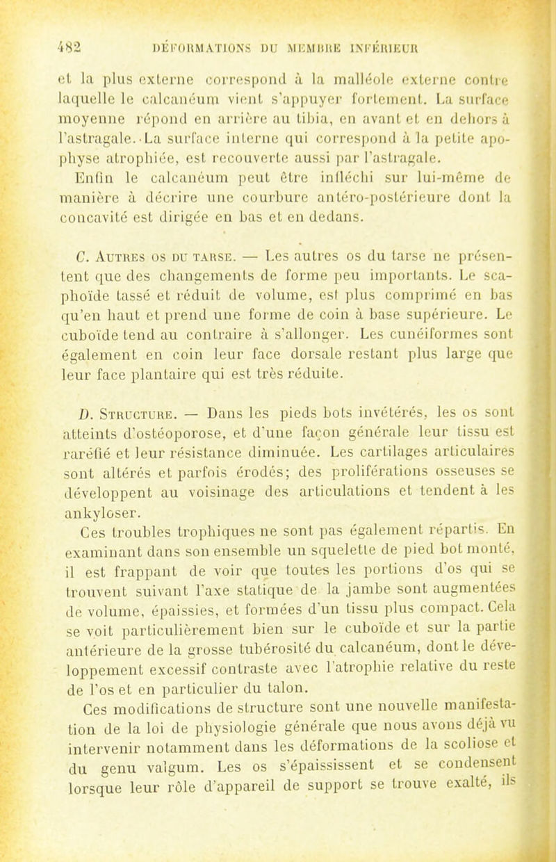 t!L la plus externe correspond à la malléole externe contre hKjuelle le caicanéum vicfnt s'ai)puyer fortement. La surface moyenne répond en arrière au tibia, en avant et en dehors à l'astragale.-La surface interne qui correspond à la petite apo- physe atrophiée, est recouverte aussi par l'astragale. Enfin le caicanéum peut être infléchi sur lui-même de manière à décrire une courbure anléro-postérieure dont la concavité est dirigée en bas et en dedans. C. Autres os du tarse. — Les autres os du tarse ne présen- tent que des changements de forme peu importants. Le sca- plioïde tassé et l'éduit de volume, est plus comprimé en bas qu'en haut et prend une forme de coin à base supérieure. Le cuboïde tend au contraire à s'allonger. Les cunéiformes sont également en coin leur face dorsale restant plus large que leur face plantaire qui est très réduite. D. Structure. — Dans les pieds bots invétérés, les os sont atteints d^ostéoporose, et d'une façon générale leur tissu est raréfié et leur résistance diminuée. Les cartilages articulaires sont altérés et parfois érodés; des proliférations osseuses se développent au voisinage des articulations et tendent à les ankyloser. Ces troubles trophiques ne sont pas également répartis. En examinant dans son ensemble un squelette de pied bot monté, il est frappant de voir que toutes les portions d'os qui se trouvent suivant l'axe statique de la jambe sont augmentées de volume, épaissies, et formées d'un tissu plus compact. Cela se voit particulièrement bien sur le cuboïde et sur la partie antérieure de la grosse tubérosité du caicanéum, dont le déve- loppement excessif contraste avec l'atrophie relative du reste de l'os et en particulier du talon. Ces modifications de structure sont une nouvelle manifesta- tion de la loi de physiologie générale que nous avons déjà vu intervenir notamment dans les déformations de la scoliose cl du genu valgum. Les os s'épaississent et se condensent lorsque leur rôle d'appareil de support se trouve exalté, il?