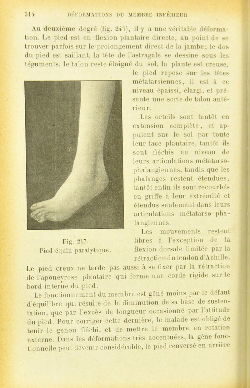 DliKOUMATIOX.S DU MEMllHE INFKIUEUK Au deuxième degré (fig. 247), il y !i une véi'itable déforma- lion. Le pied esL en flexion jikuilaire directe, au point de se trouver parfois sur Icprolongenient direct de la Jambe; le dos du pied est saillant, la tôte de Fastragale se dessine sous les téguments, le talon reste éloigné du sol, la plante est creuse, le pied repose sur les têtes métatarsiennes, il est à ce niveau épaissi, élargi, et pré- sente une sorte de talon anté- lieur. Les orteils sont tantôt en extension complète, et ap- puient sur le sol par toute leur l'ace plantaire, tantôt ils sont fléchis au niveau de leurs articulations métatarso- phalangiennes, tandis que les phalanges restent étendues, tantôt enfin ils sont i-ecourbés en griffe à leur extrémité et étendus seulement dans leurs articulations métatarso-pha- langiennes. Les mouvements restent Fig. 247. libres à l'exception de la Pied équiQ paralytique. flexion dorsale limitée par la rétraction du tendon d'Achille. Le pied creux ne tarde pas aussi à se fixer par la rétraction de l'aponévrose plantaire qui forme une corde rigide sur le bord interne du pied. Le fonctionnement du membre est gêné moins par le défaut d'équilibre qui résulte de la diminution de sa base de susten- tation, que par l'excès de longueur occasionné par lattitude du pied. Pour corriger cette dernière, le malade est obligé de tenir le genou lléchi. et de mettre le membre en rotation externe. Dans les déformations très accentuées, la géne fonc- tionnelle peut devenir considérable, le pied renversé en arrière