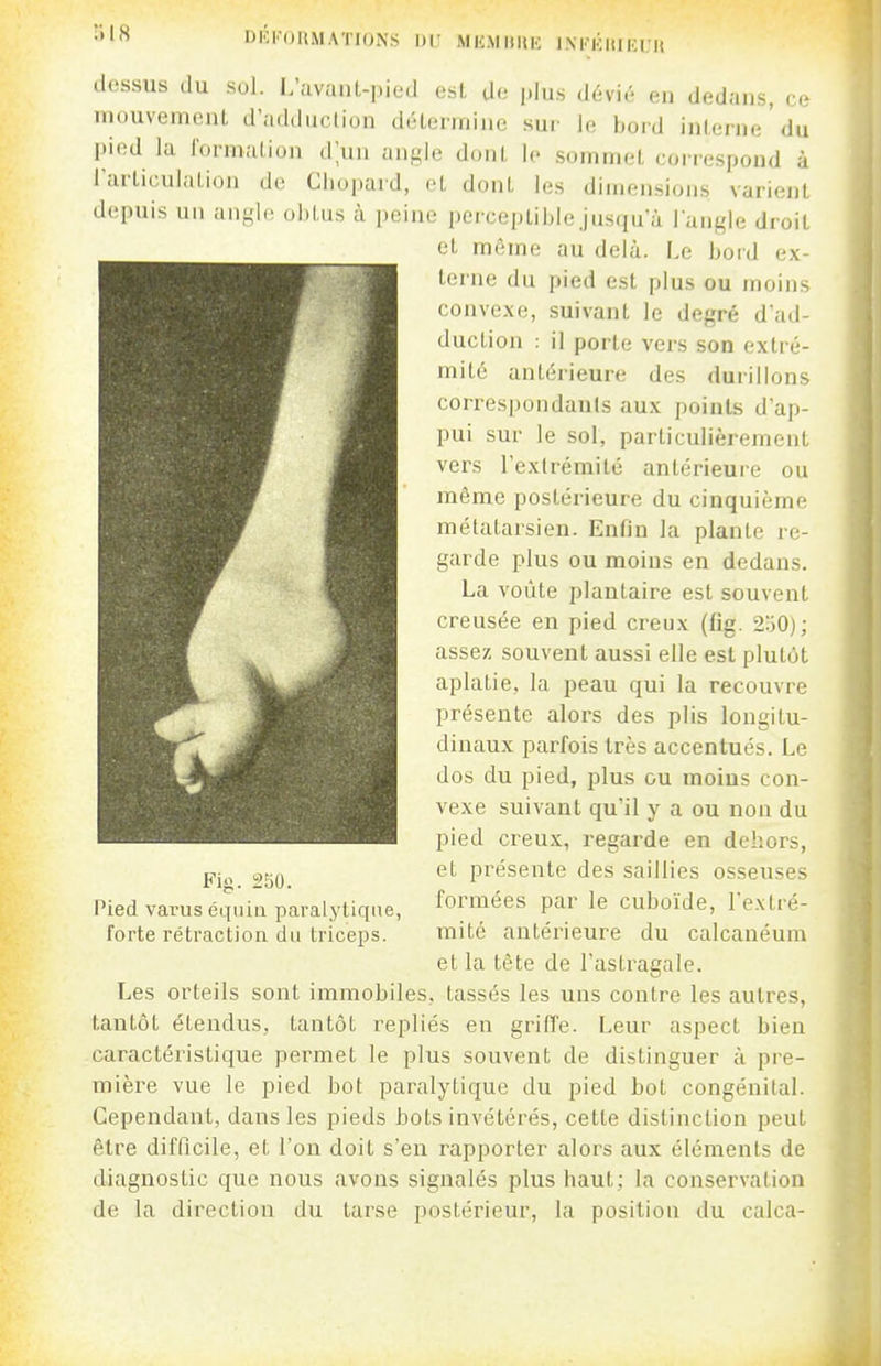 (lossus du sol. i;avai)L-i)ied esl, Uo plus dévié en dedans, ce uiouvemcMiL d'adduction délemiine sur le bord inlerne du pied la l'ormation dun angle dont le sommet correspond à rarliculalion de Cliopard, cl, dont les dimensions varient depuis un an-lc ohliis à peine perceptiblejusqu a l'angle droit et même au delà. Le bord ex- terne du pied est plus ou moins convexe, suivant le degré d'ad- duction : il porte vers son extré- mité antérieure des durillons correspondants aux points d'ap- pui sur le sol, particulièrement vers l'extrémité antérieure ou même postérieure du cinquième iTiétalarsien. Enfin la plante re- garde plus ou moins en dedans. La voûte plantaire est souvent creusée en pied creux (fig. 250); assez souvent aussi elle est plutôt aplatie, la peau qui la recouvre présente alors des plis longitu- dinaux pai'fois très accentués. Le dos du pied, plus ou moins con- vexe suivant qu'il y a ou non du pied creux, regarde en dehors, et présente des saillies osseuses Pied varuséquili paralytique, formées par le cuboïde, l'e.xtré- forte rétraction du triceps. mité antérieure du calcanéura et la tète de l'astragale. Les orteils sont immobiles, tassés les uns contre les autres, tantôt étendus, tantôt repliés en grifîe. Leur aspect bien caractéristique permet le plus souvent de distinguer à pre- mière vue le pied bot paralytique du pied bot congénital. Cependant, dans les pieds bots invétérés, cette distinction peut être difllcile, et l'on doit s'en rapporter alors aux éléments de diagnostic que nous avons signalés plus haut; la conservation de la direction du tarse postérieur, la position du calca-