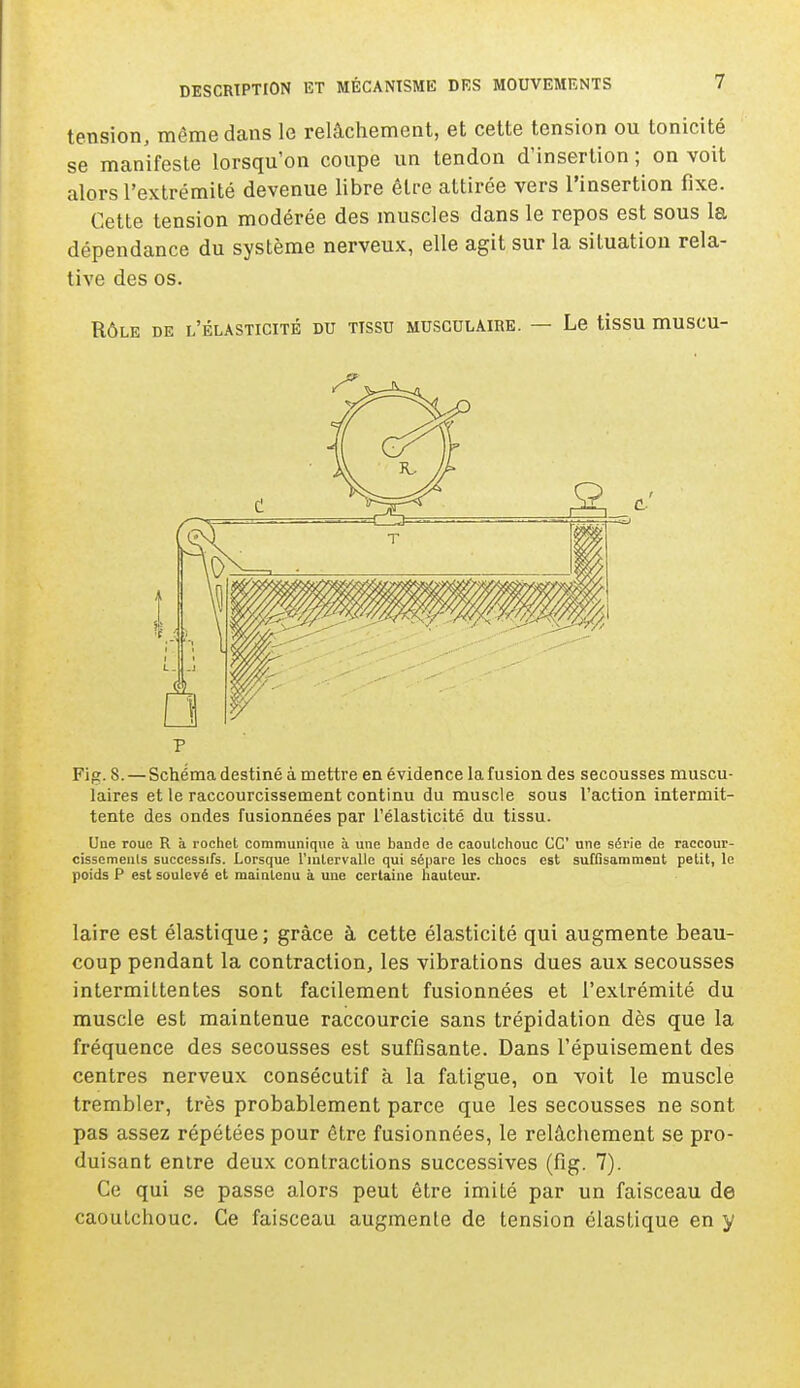 tension, môme dans le relâchement, et cette tension ou tonicité se manifeste lorsqu'on coupe un tendon d'insertion ; on voit alors l'extrémité devenue libre être attirée vers l'insertion fixe. Cette tension modérée des muscles dans le repos est sous la dépendance du système nerveux, elle agit sur la situation rela- tive des os. RÔLE DE L'ÉLASTICITÉ DU TISSU MUSCULAIRE. — Le tisSU mUSCU- Fig. S.— Schéma destiné à mettre en évidence la fusion des secousses muscu- laires et le raccourcissement continu du muscle sous l'action intermit- tente des ondes fusionnées par l'élasticité du tissu. Une roue R à rochet communique à une bande de caoutchouc CC une série de raccour- cissements successifs. Lorsque l'intervalle qui sépare les chocs est suffisamment petit, le poids P est soulevé et maintenu à une certaine hauteur. laire est élastique; grâce à cette élasticité qui augmente beau- coup pendant la contraction, les vibrations dues aux secousses intermittentes sont facilement fusionnées et l'extrémité du muscle est maintenue raccourcie sans trépidation dès que la fréquence des secousses est suffisante. Dans l'épuisement des centres nerveux consécutif à la fatigue, on voit le muscle trembler, très probablement parce que les secousses ne sont pas assez répétées pour être fusionnées, le relâchement se pro- duisant entre deux contractions successives (fig. 7). Ce qui se passe alors peut être imité par un faisceau de caoutchouc. Ce faisceau augmente de tension élastique en y